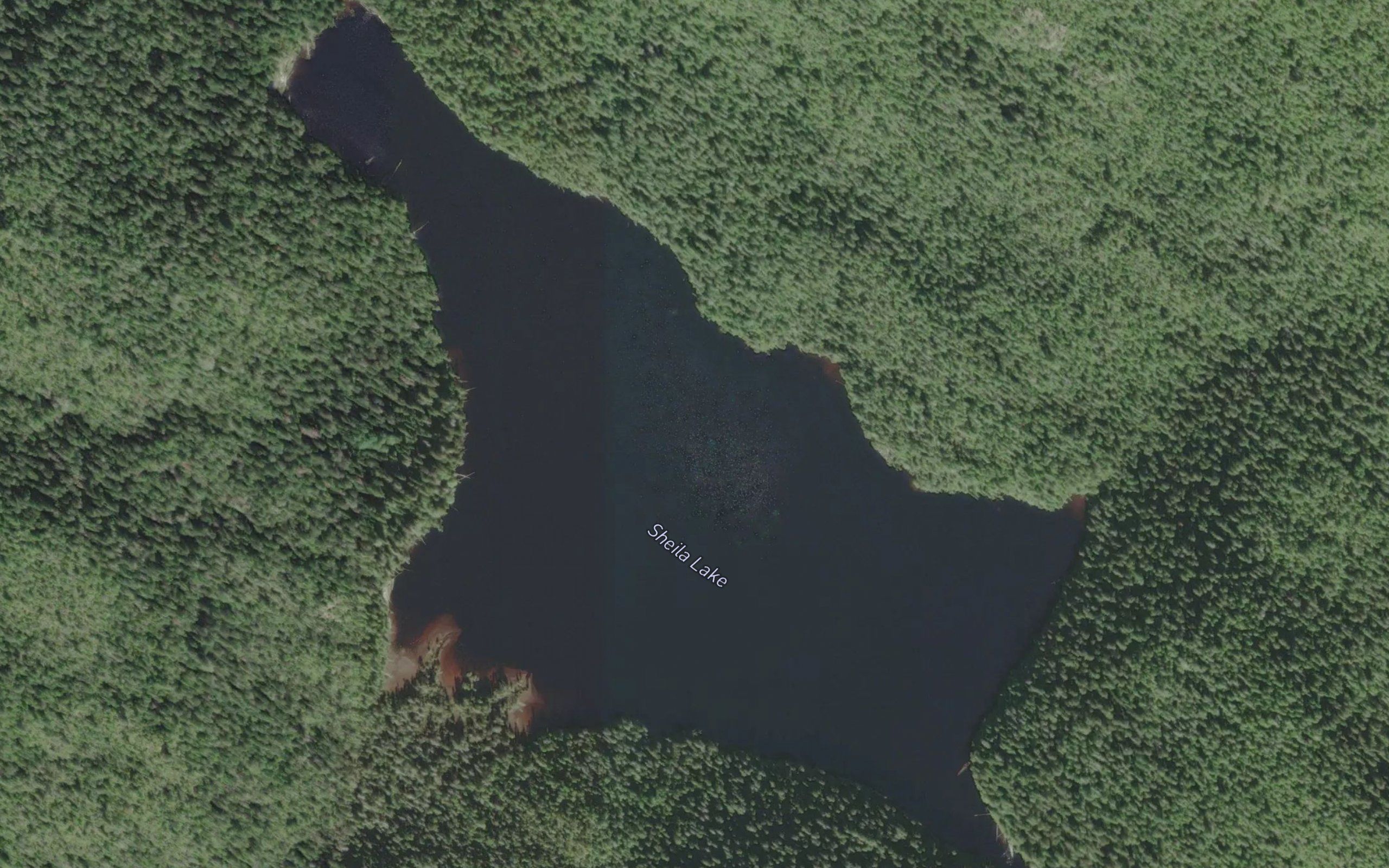 Sheila Lake