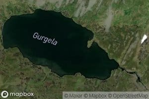Gurgela