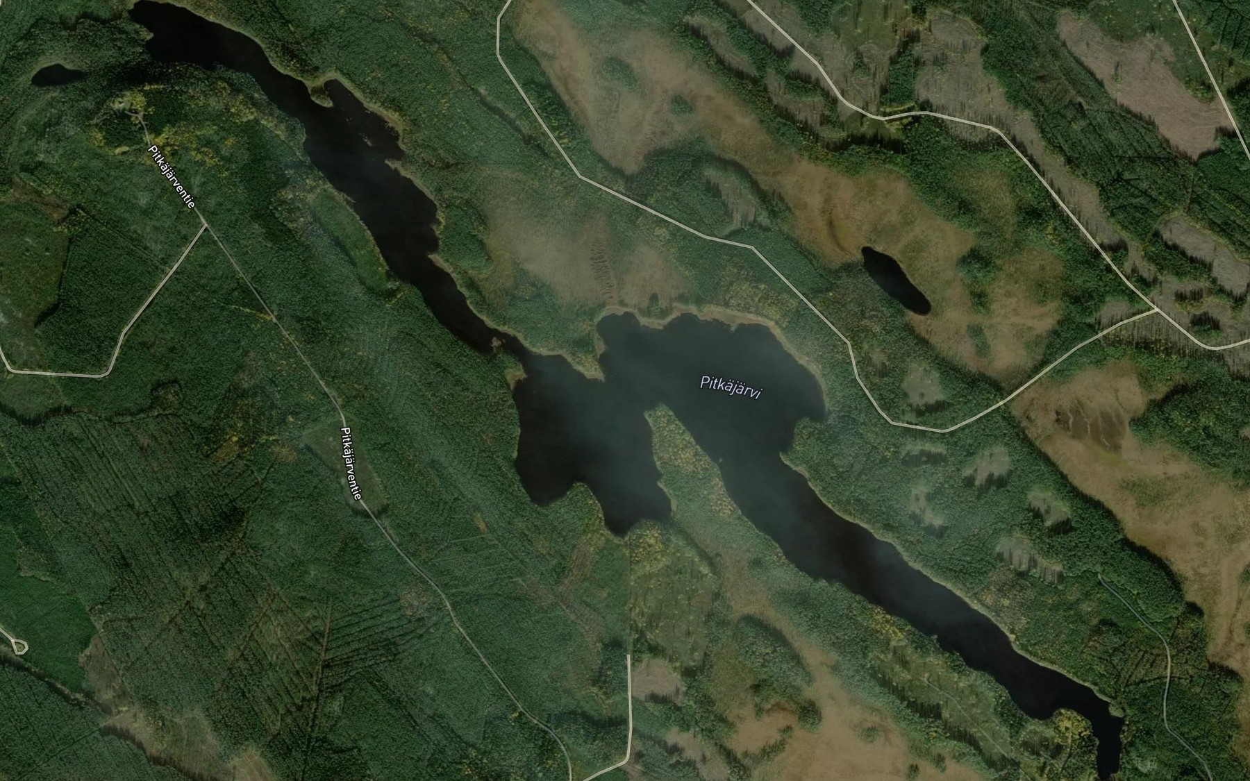 Satellite map of the Pitkajarvi