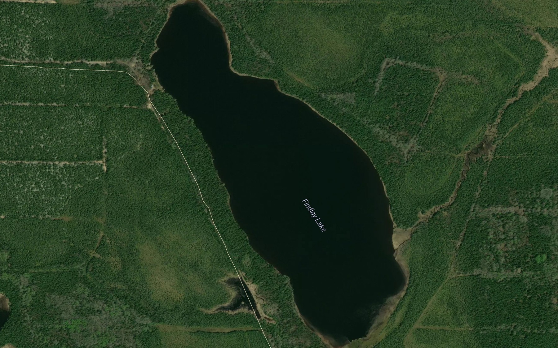 Satellite map of the Findlay Lake