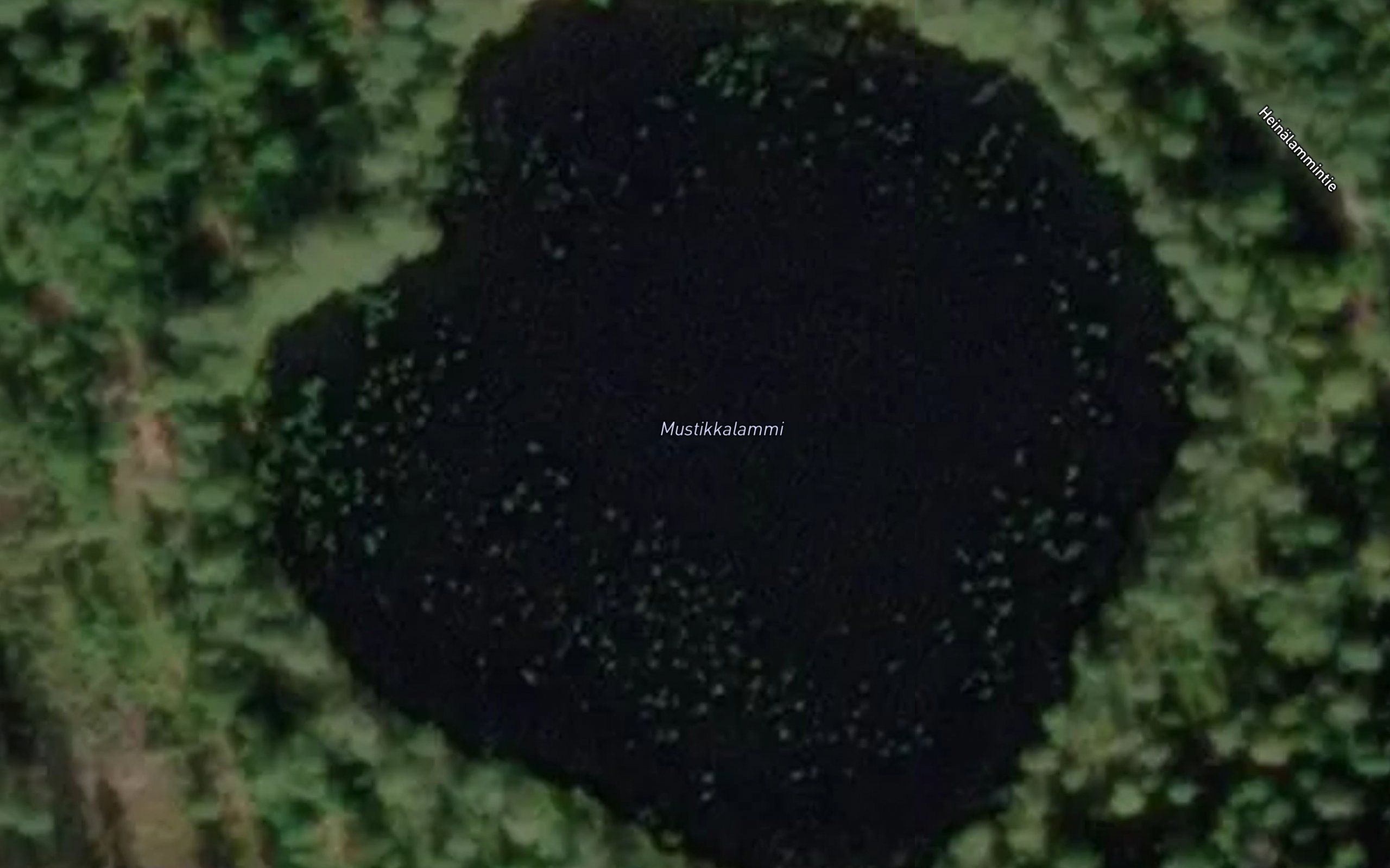 Mustikkalammi