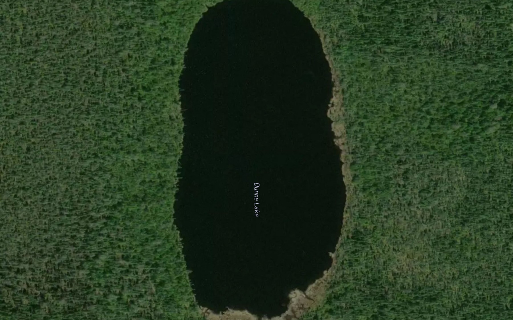 Satellite map of the Dunne Lake