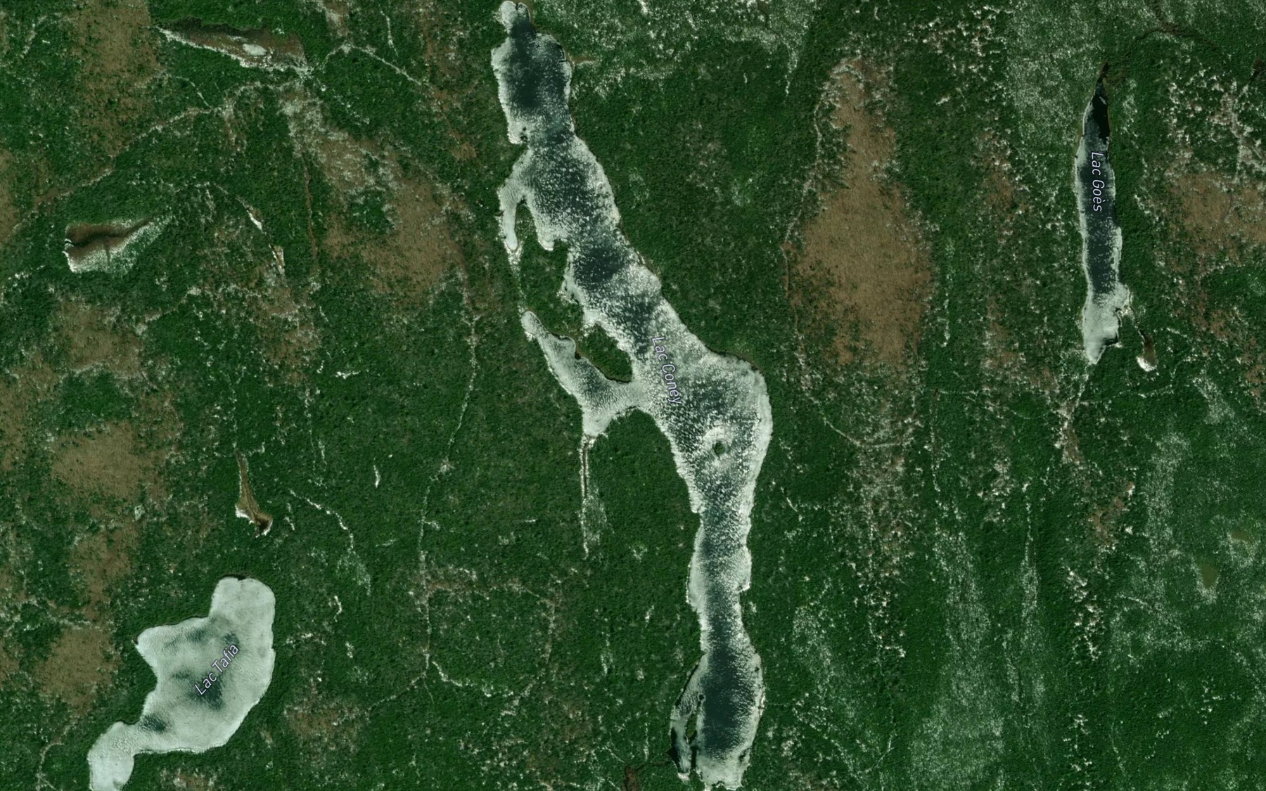 Satellite map of the Lac Coney