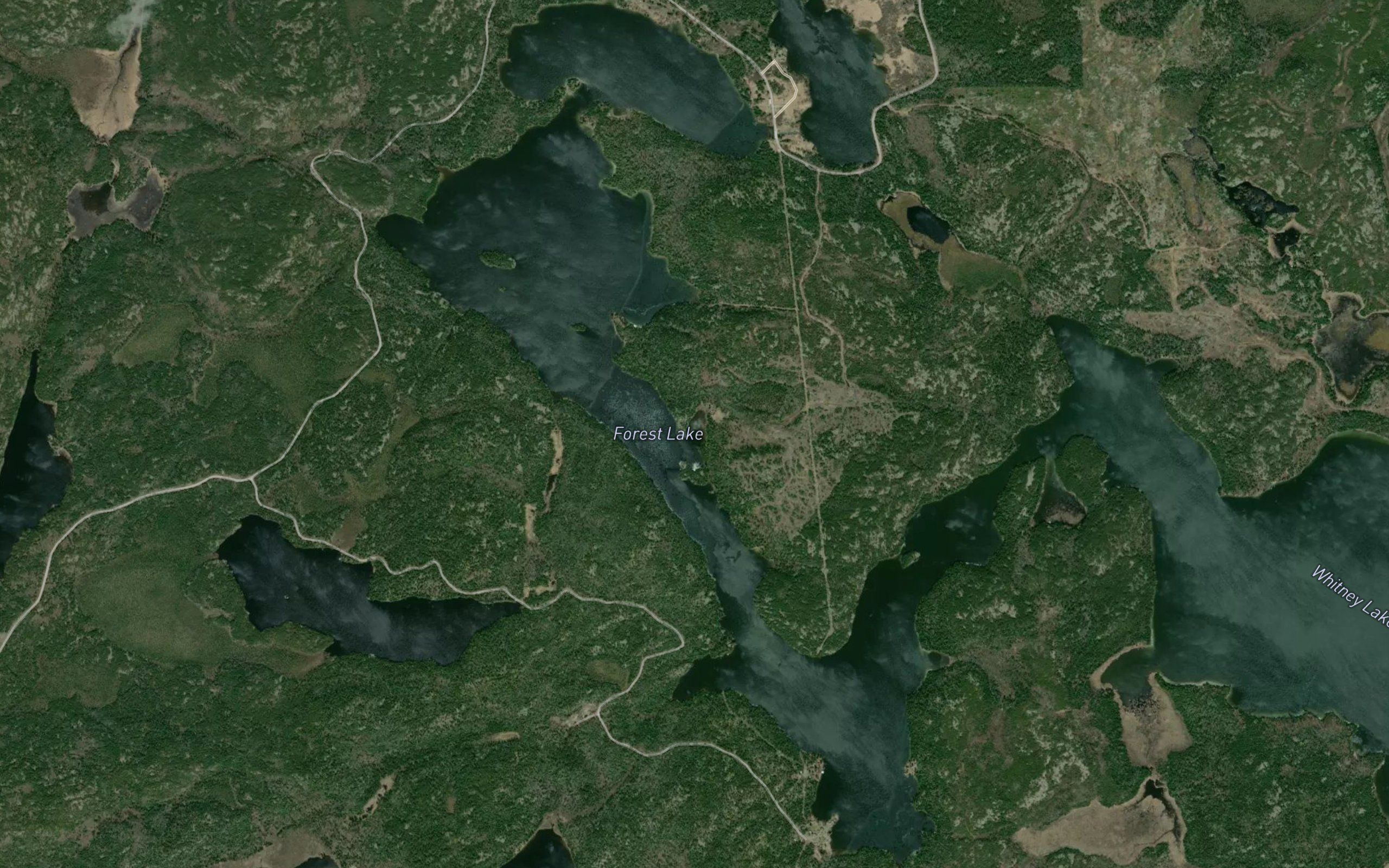 Forest Lake
