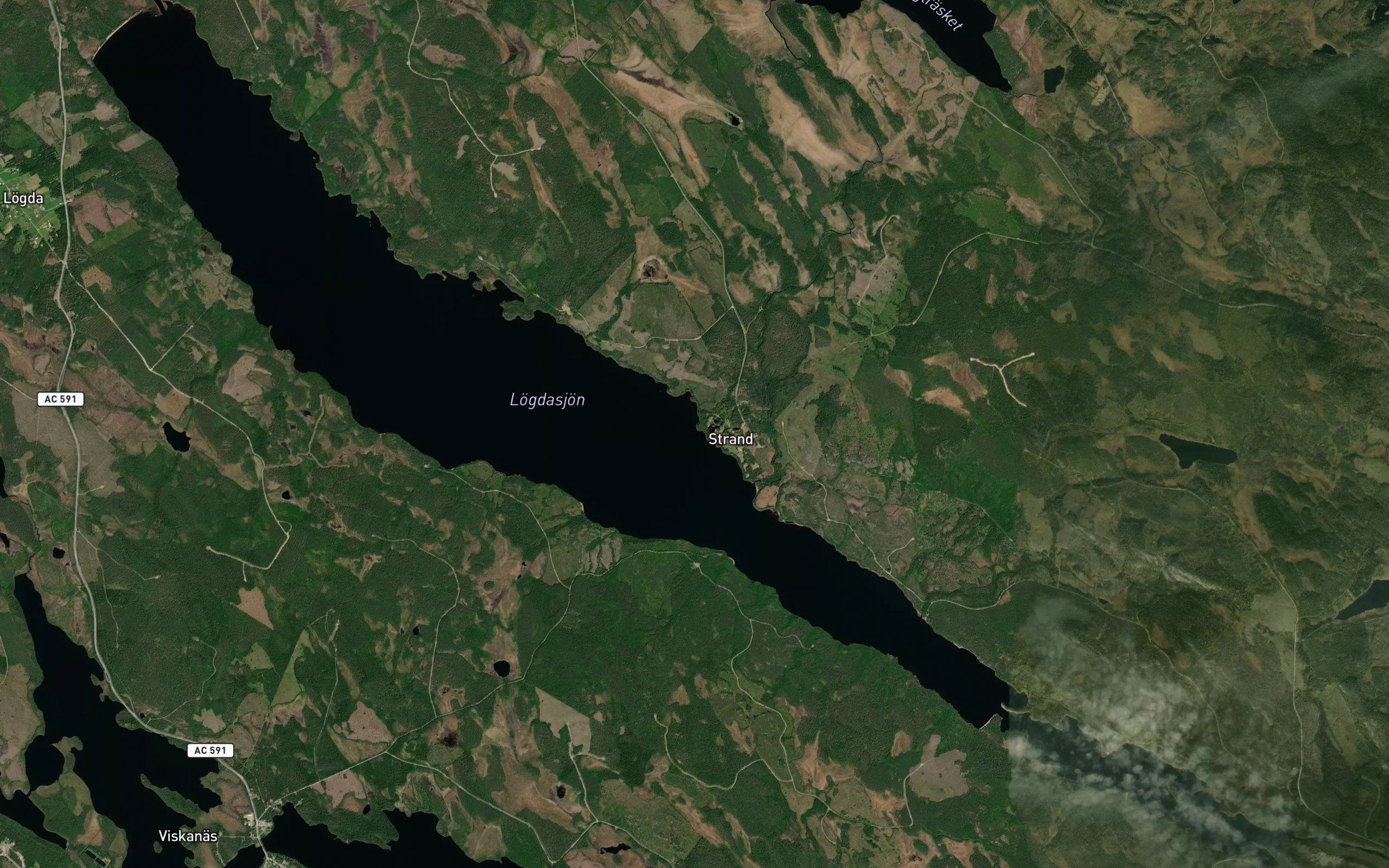 Stora Logdasjon