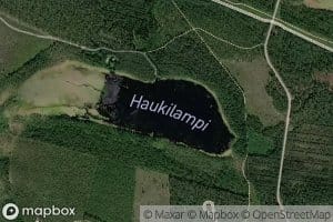 Haukilampi