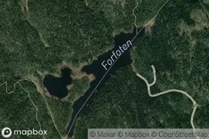 Forfoten