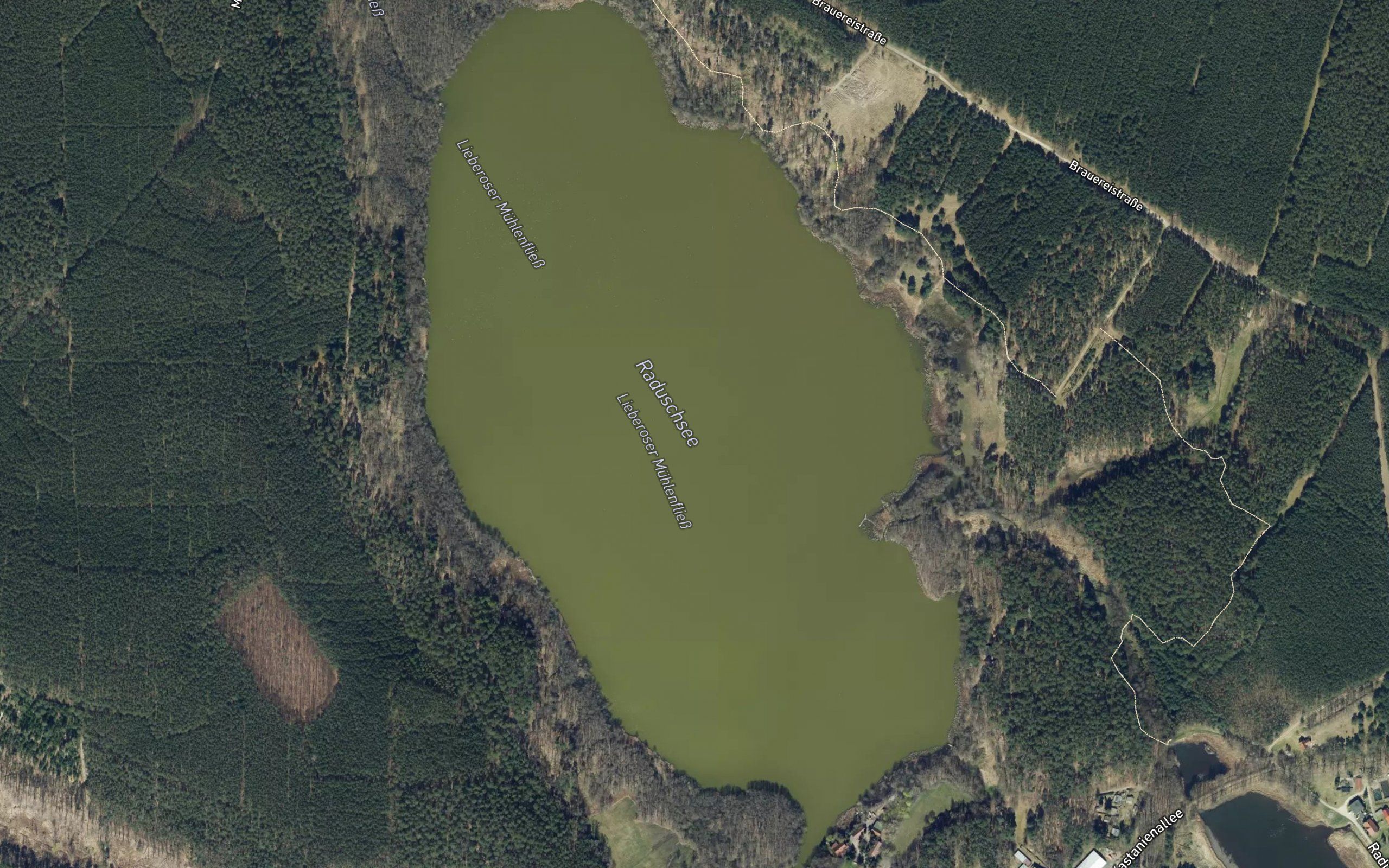 Raduschsee