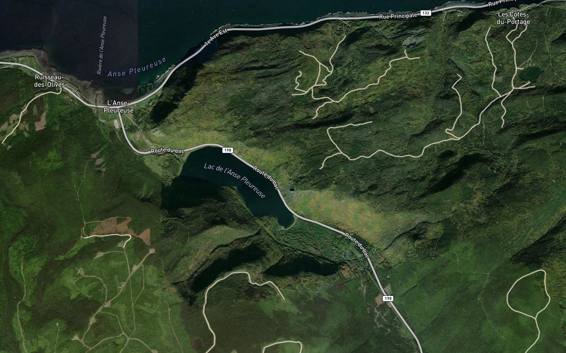 Satellite map of the Coulee du Quai
