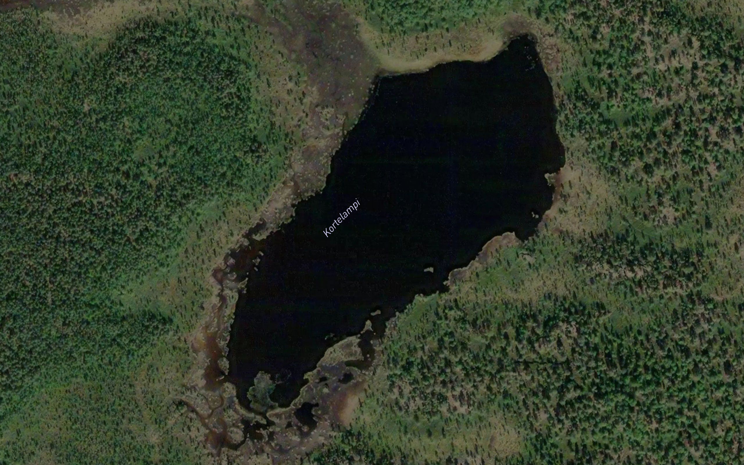 Kortelampi