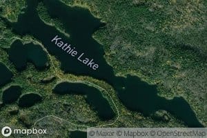 Kathie Lake