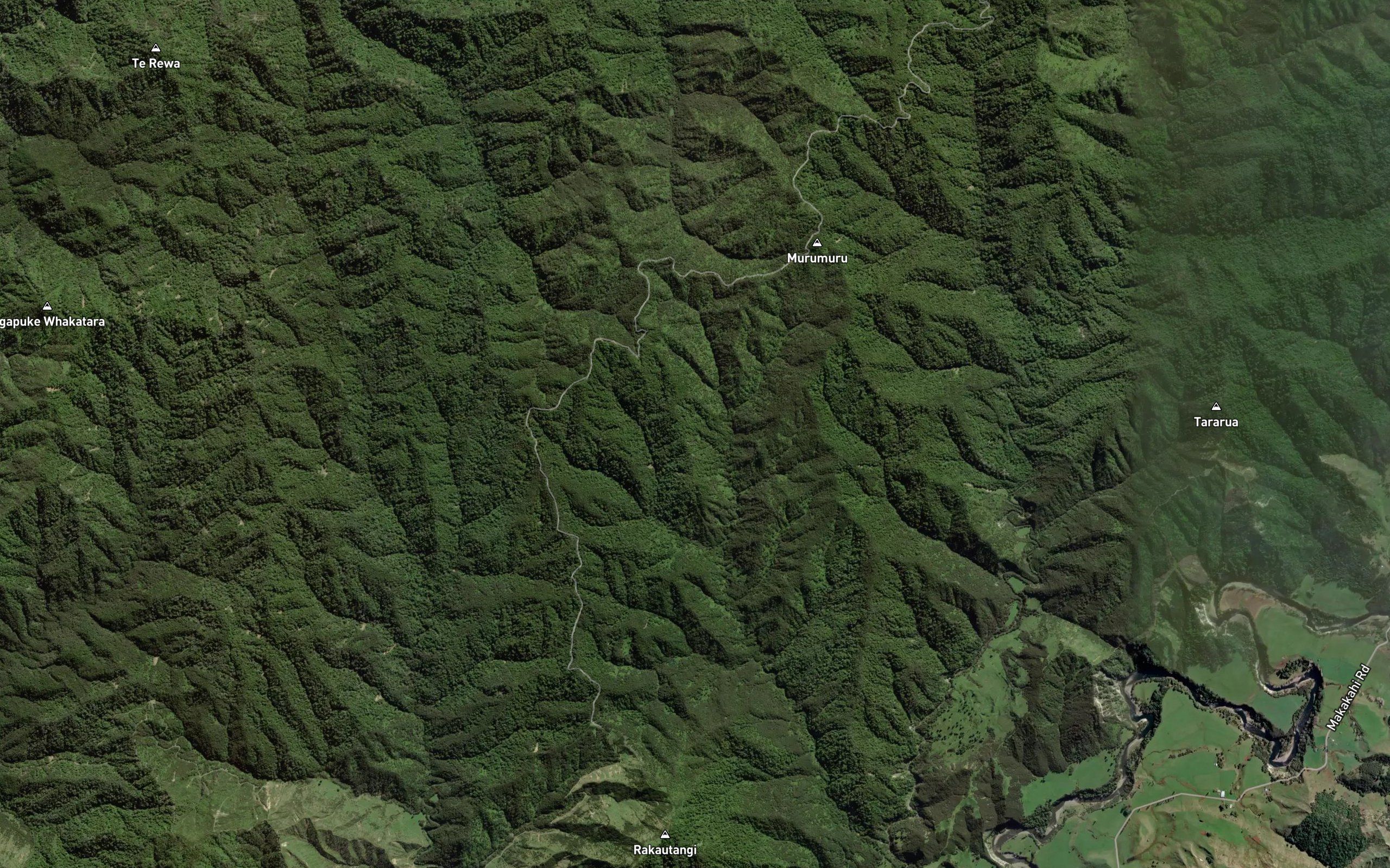 Rakautangi Stream