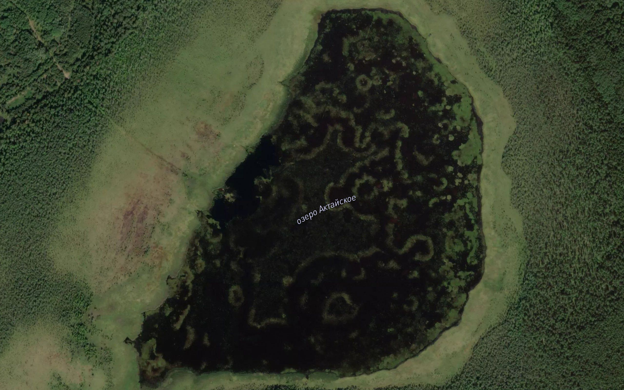 Ozero Aktayskoye