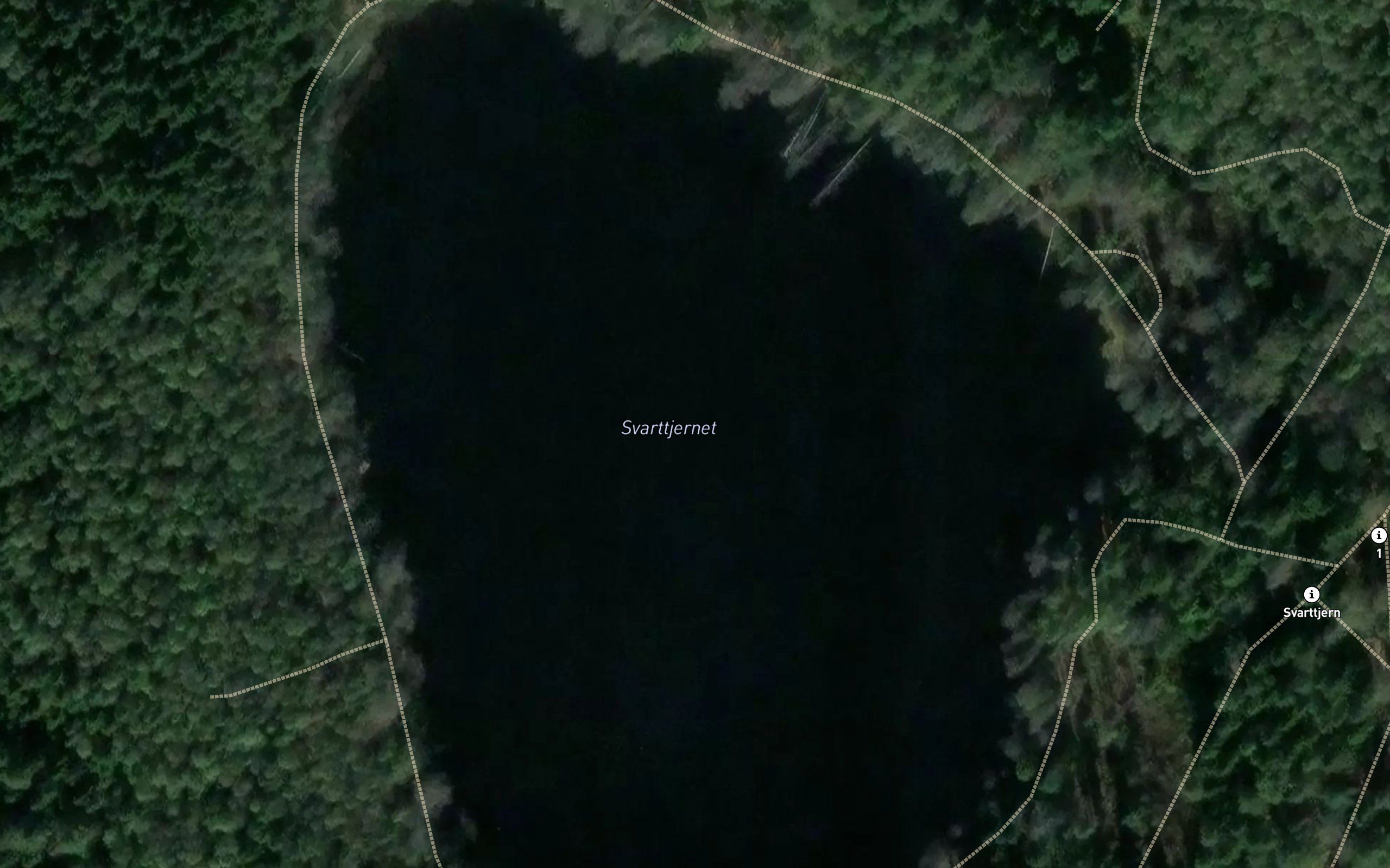 Svarttjernet