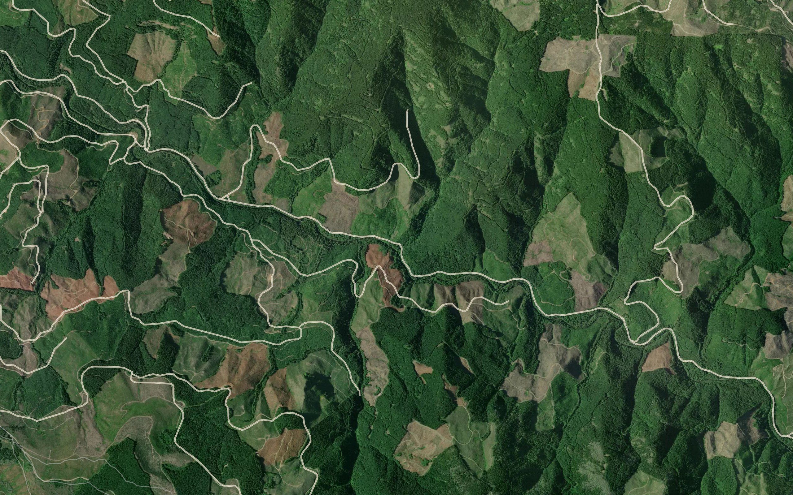 Washout Creek