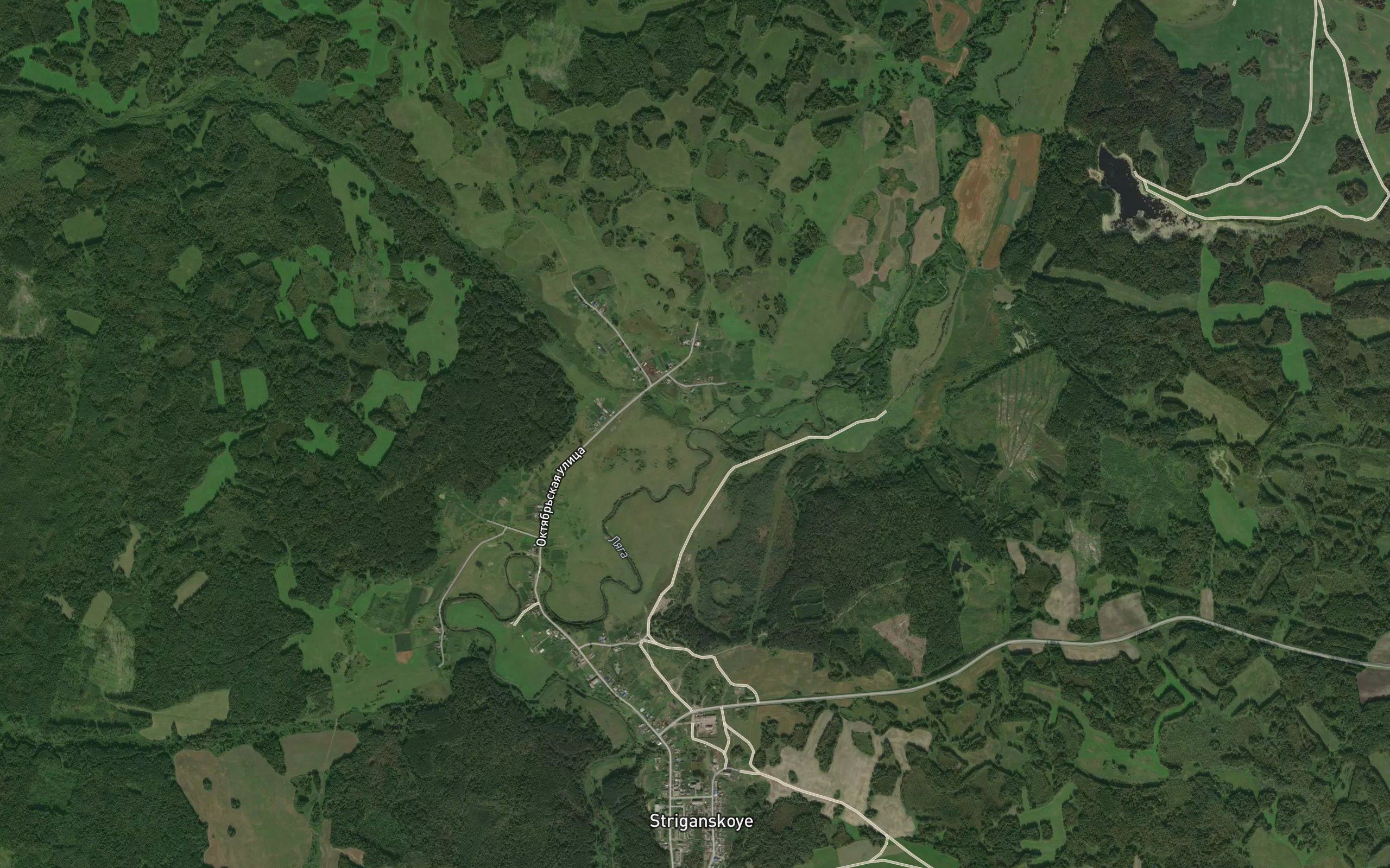 Gryaznukha