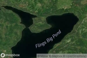 Flings Big Pond