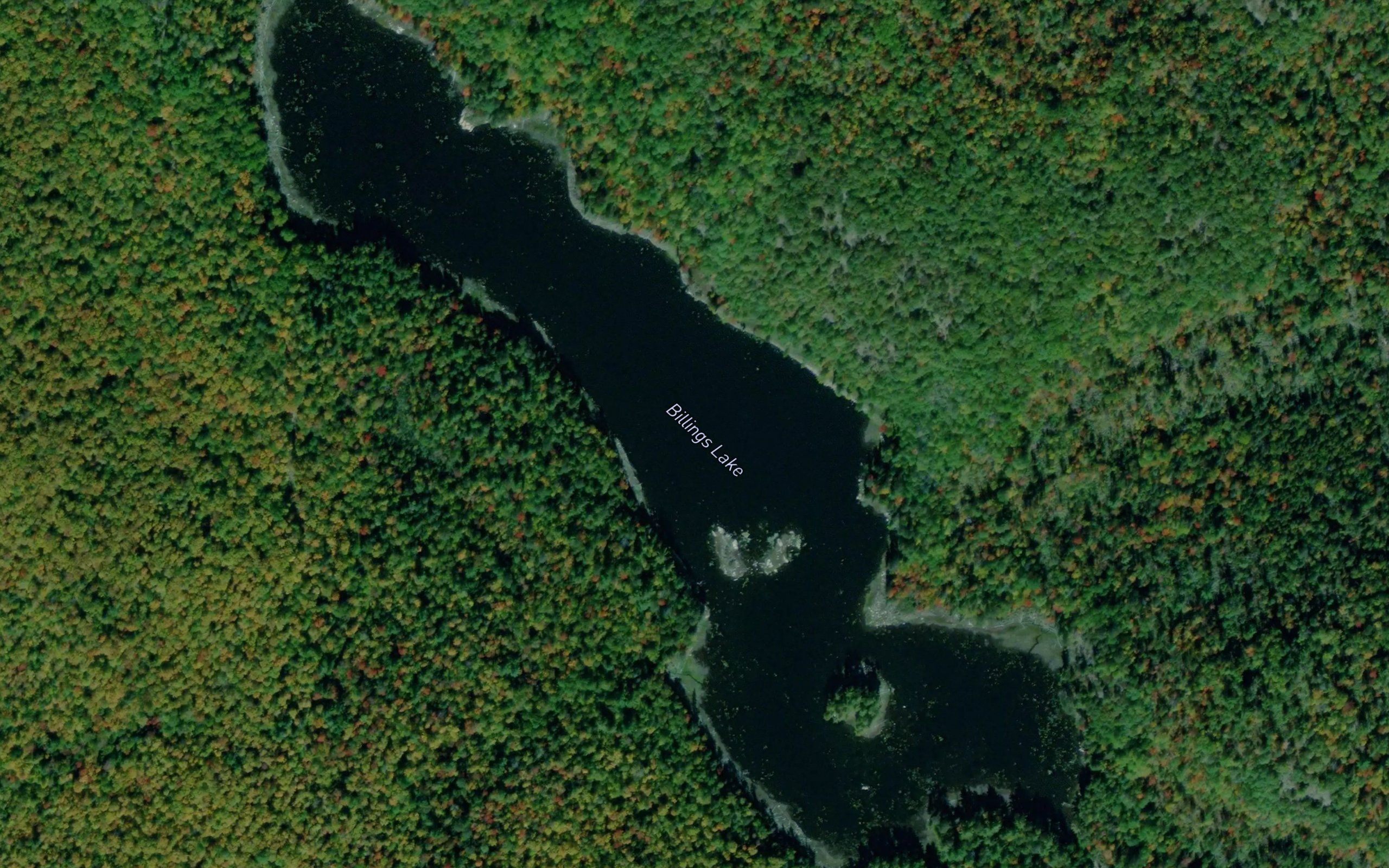 Billings Lake