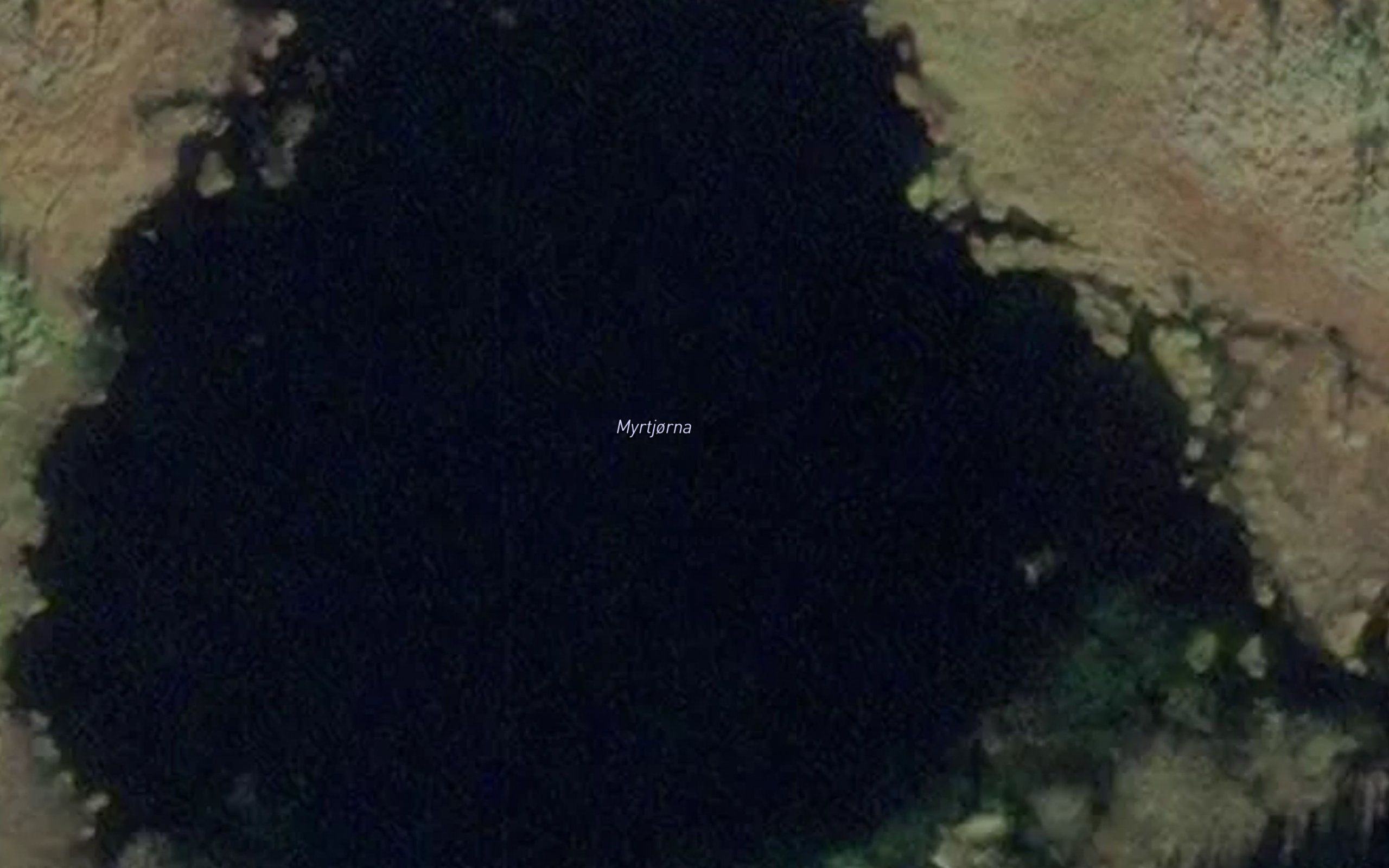 Myrtjorna