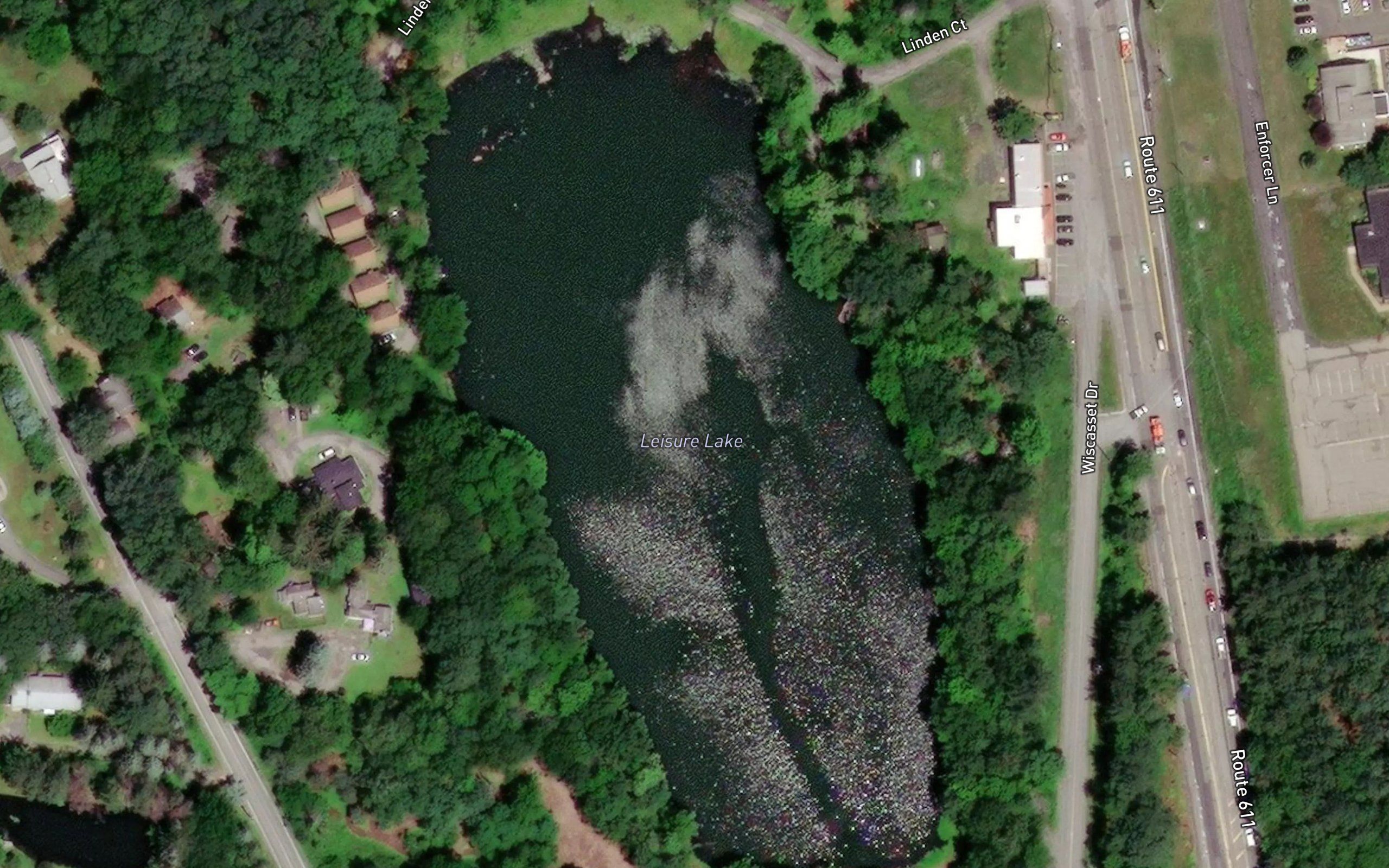 Leisure Lake