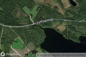Kalliopuro