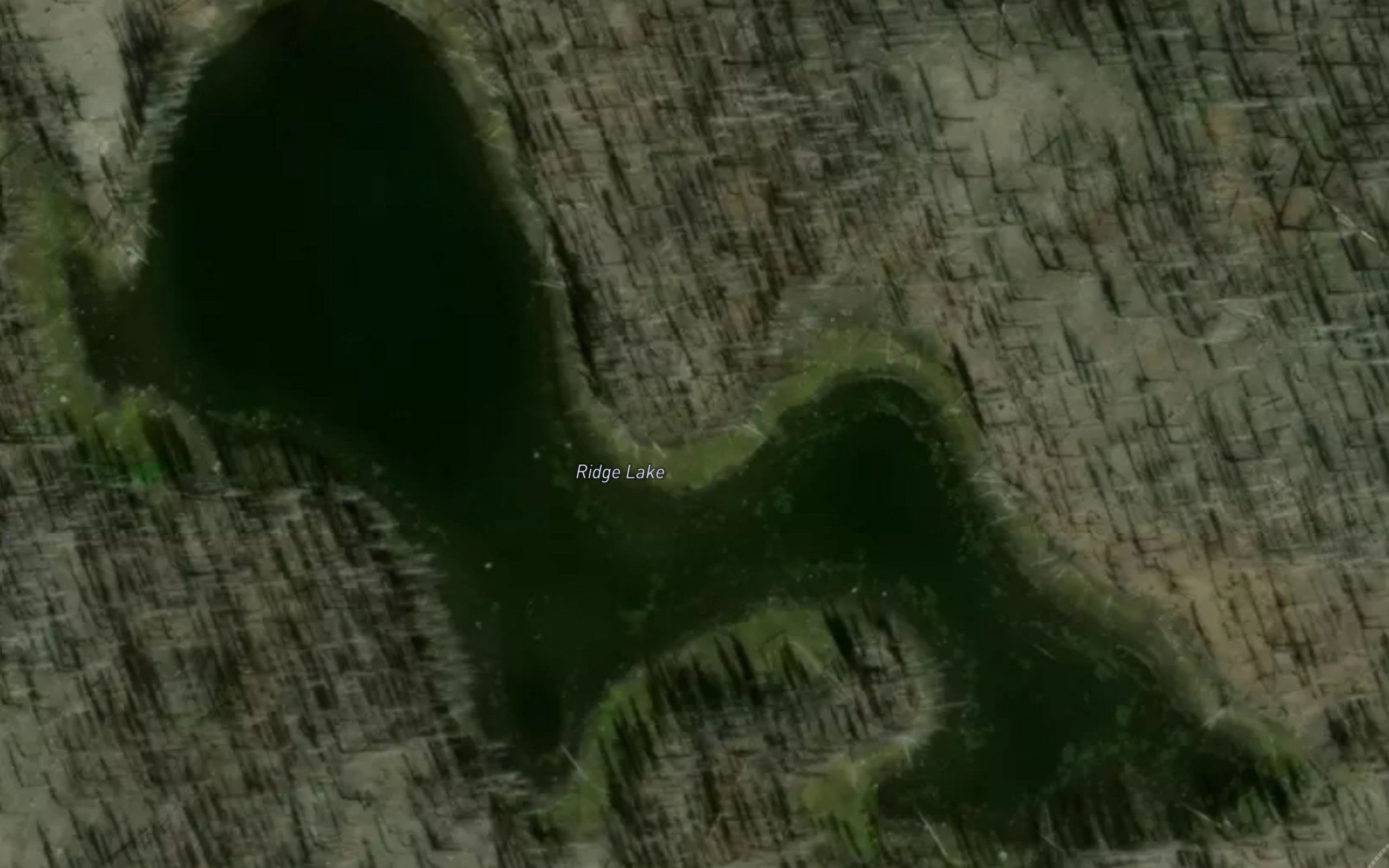 Ridge Lake