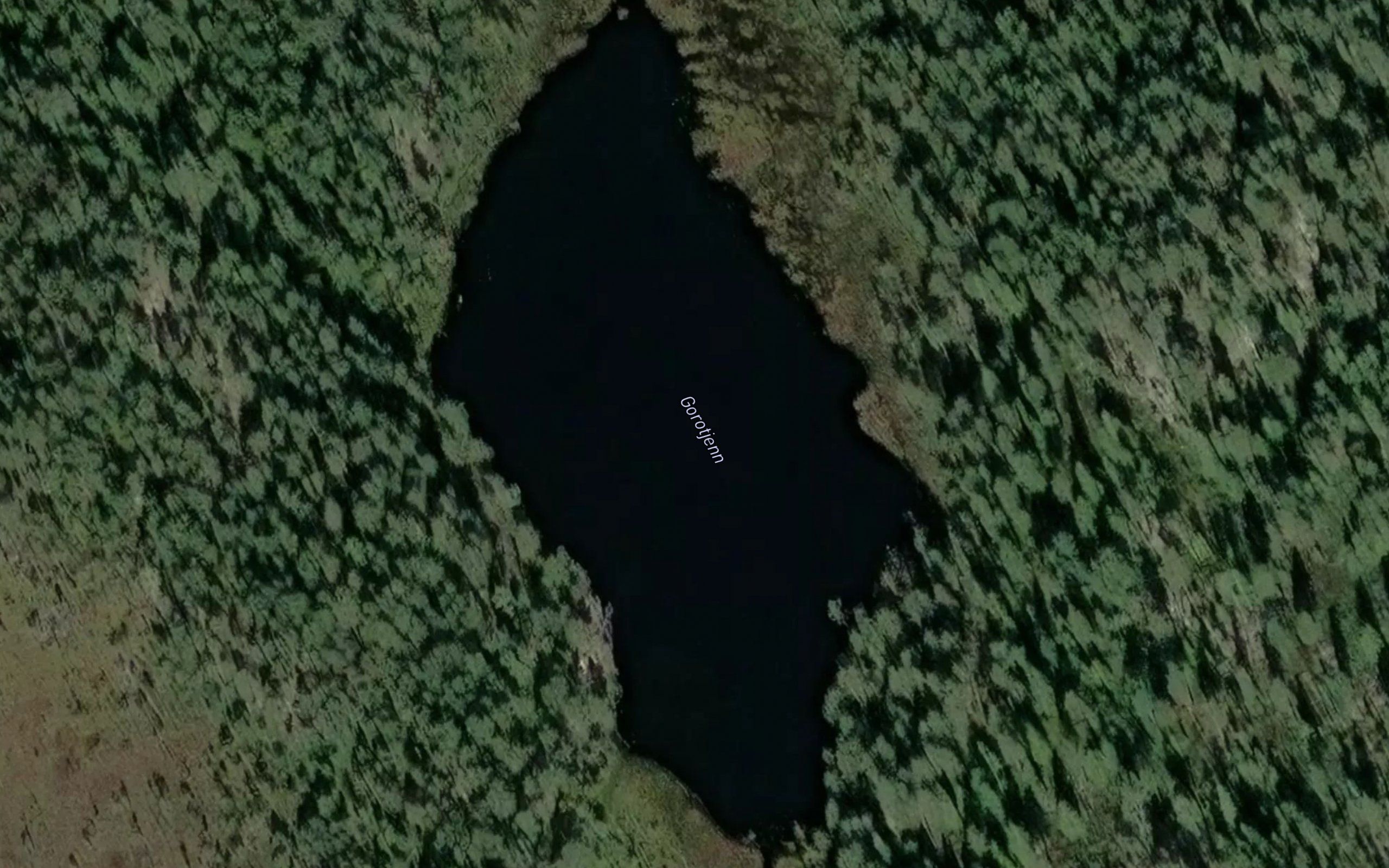 Gorotjern