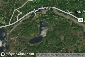 Massingtjorna