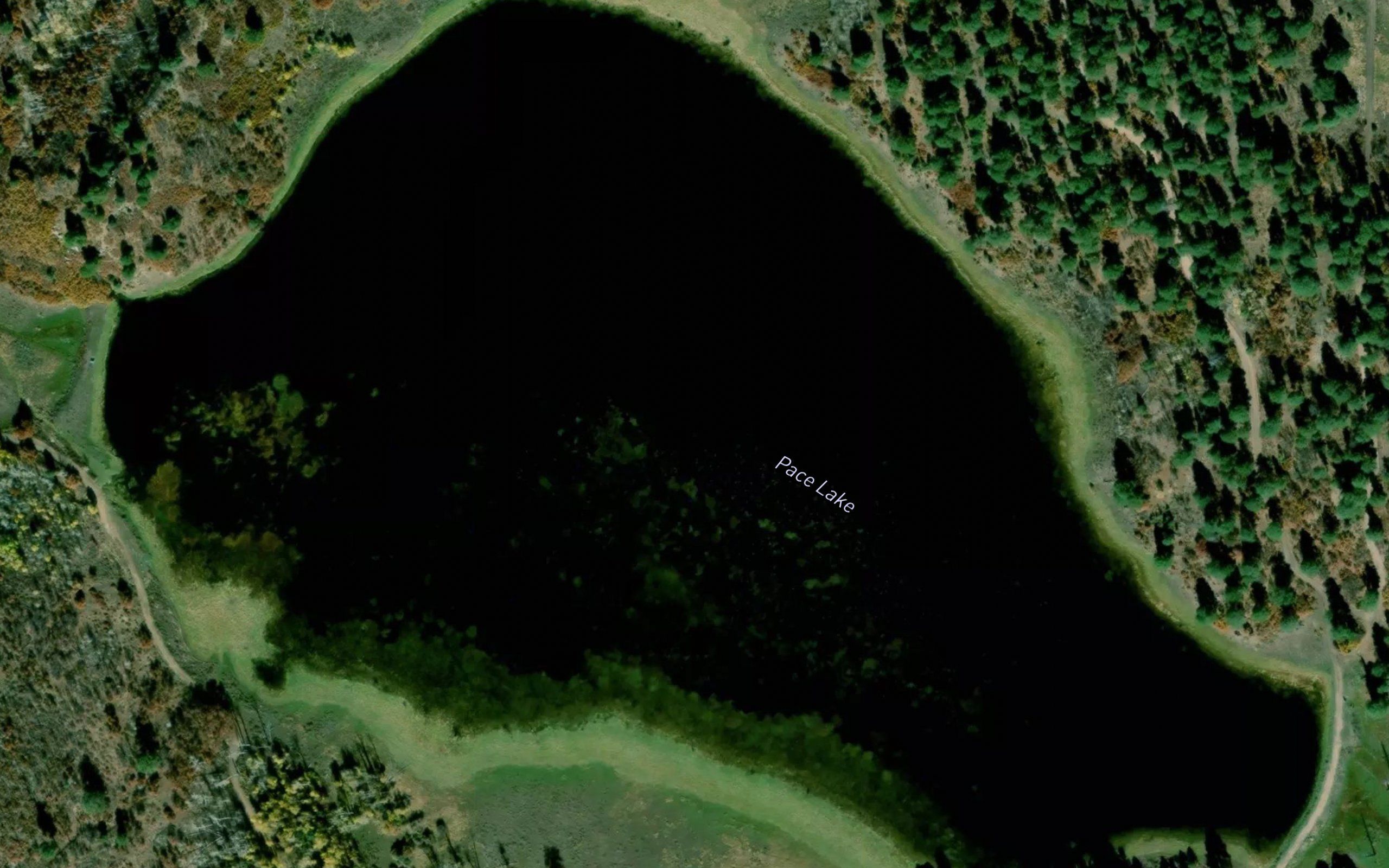 Pace Lake