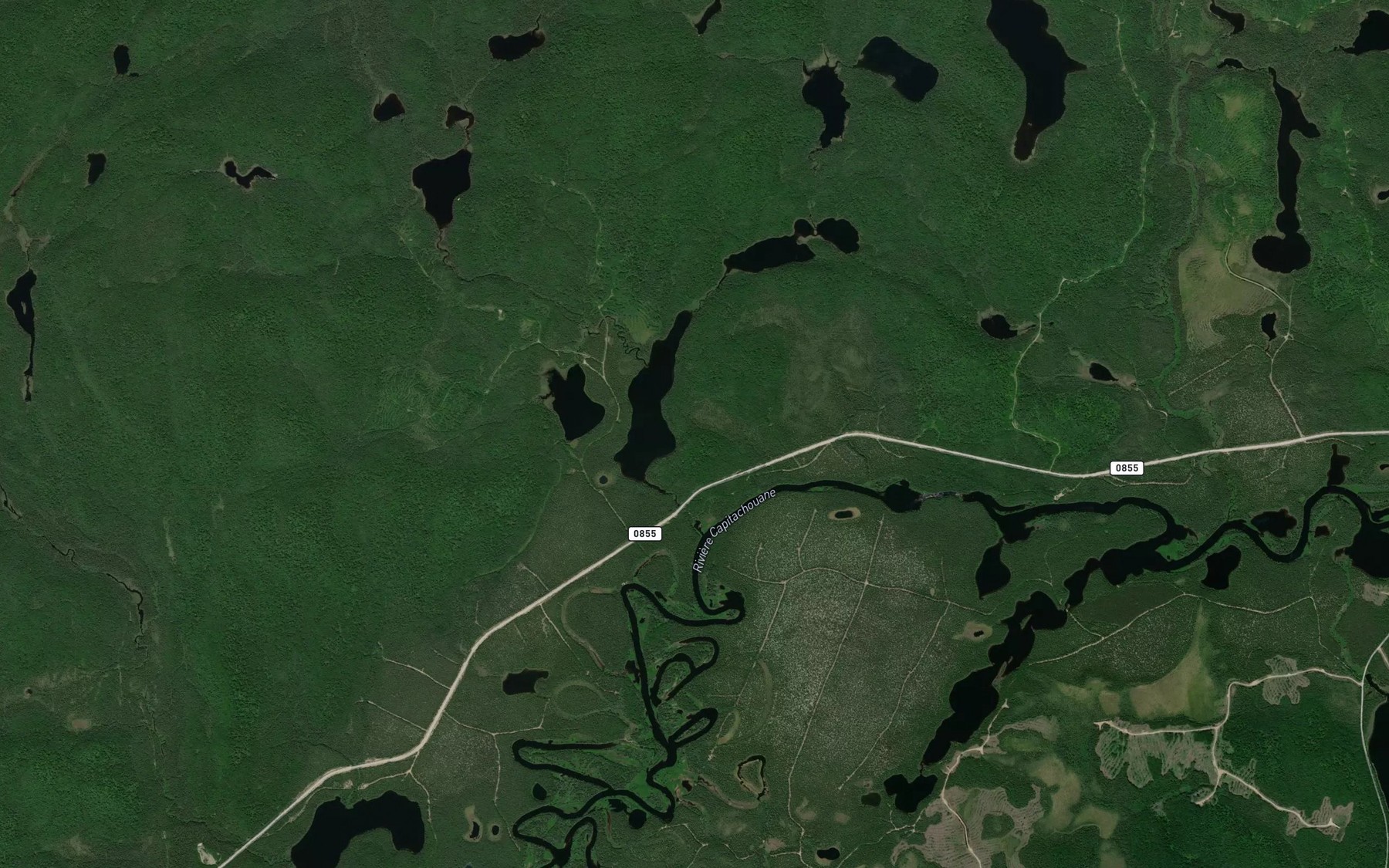 Satellite map of the Etang de la Mouffette