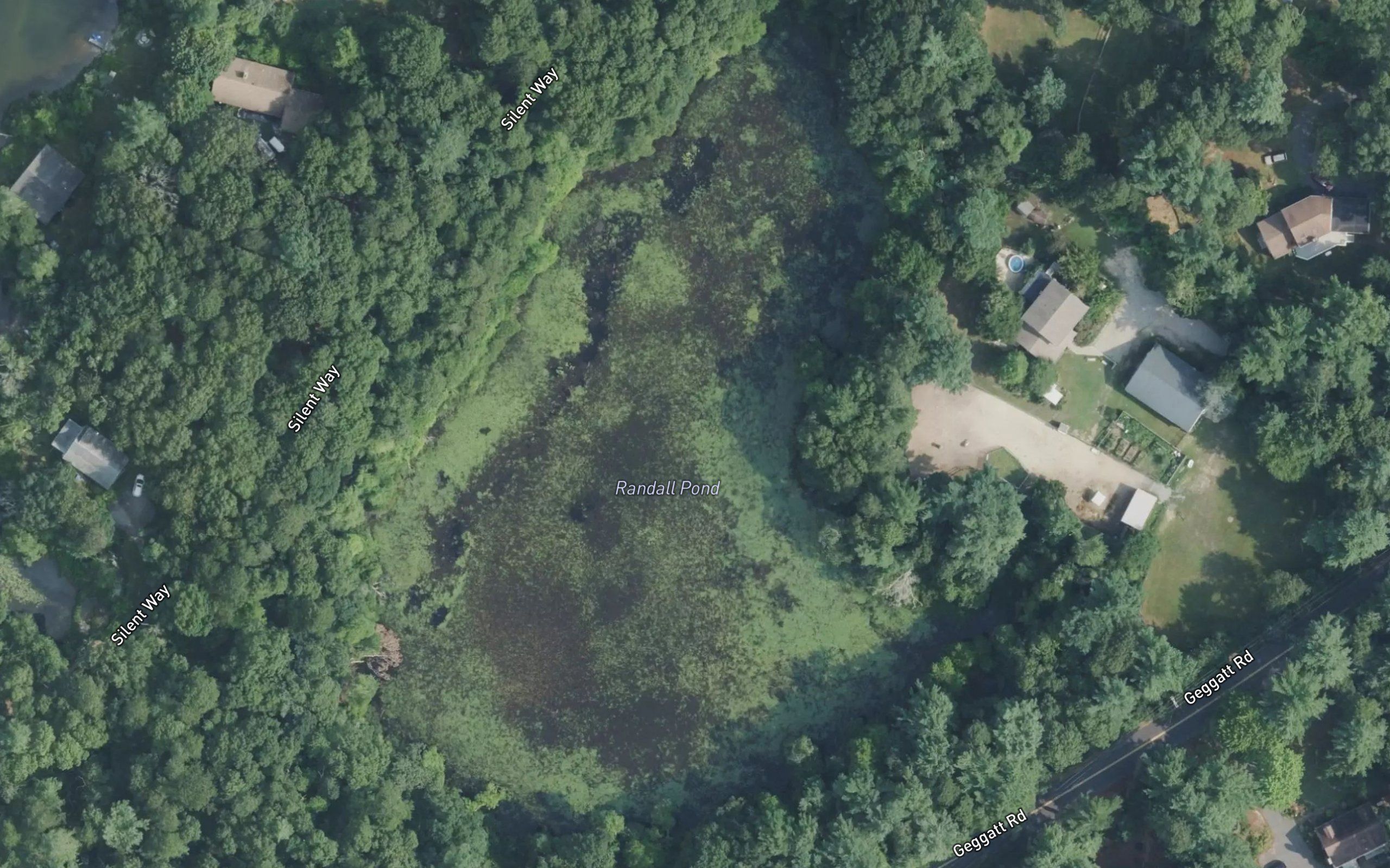 Randal Pond
