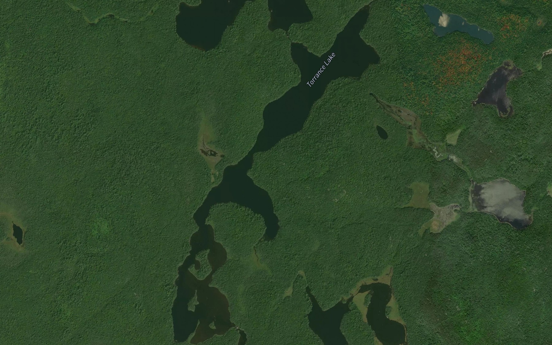 Satellite map of the Torrance Lake
