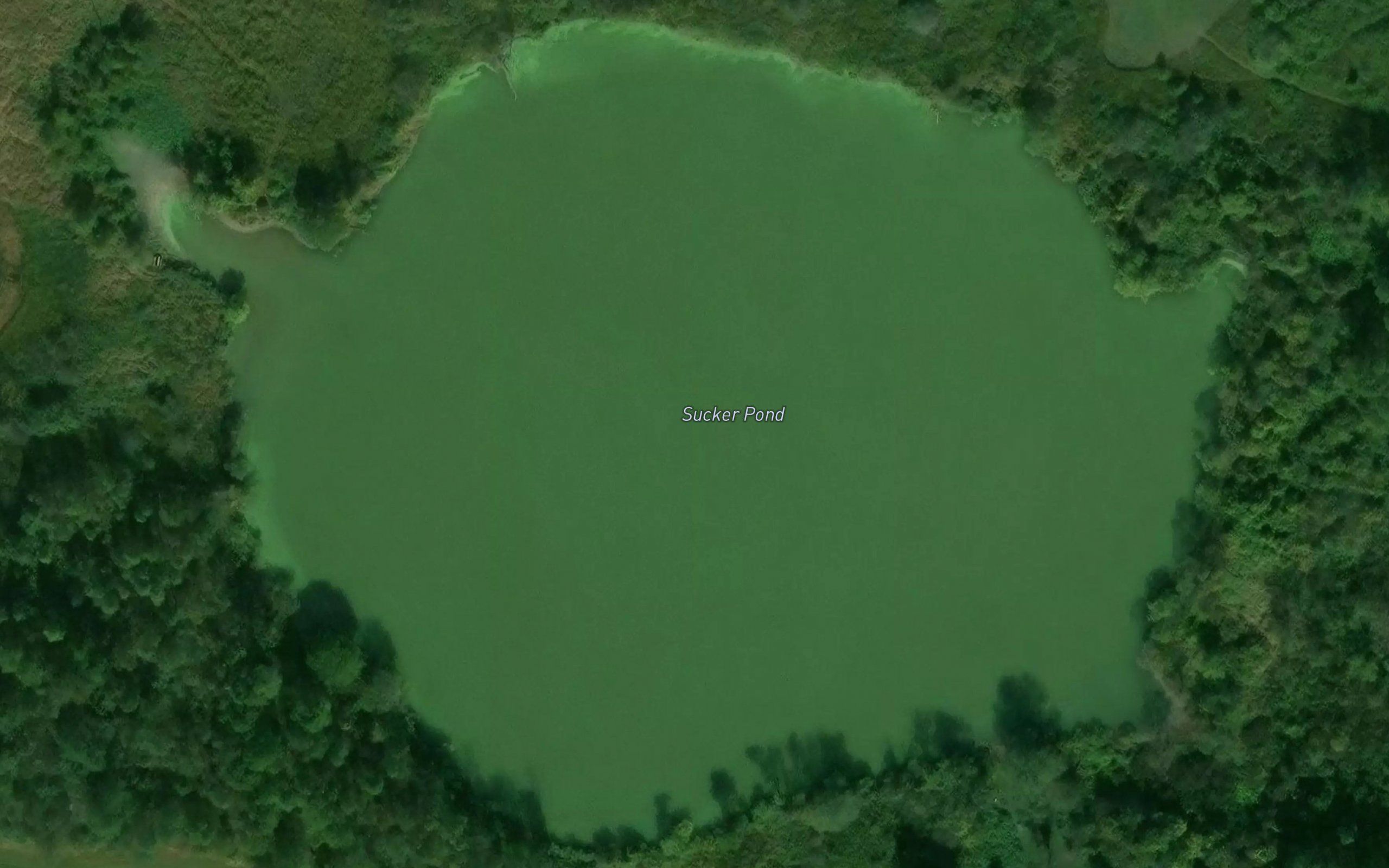 Sucker Pond