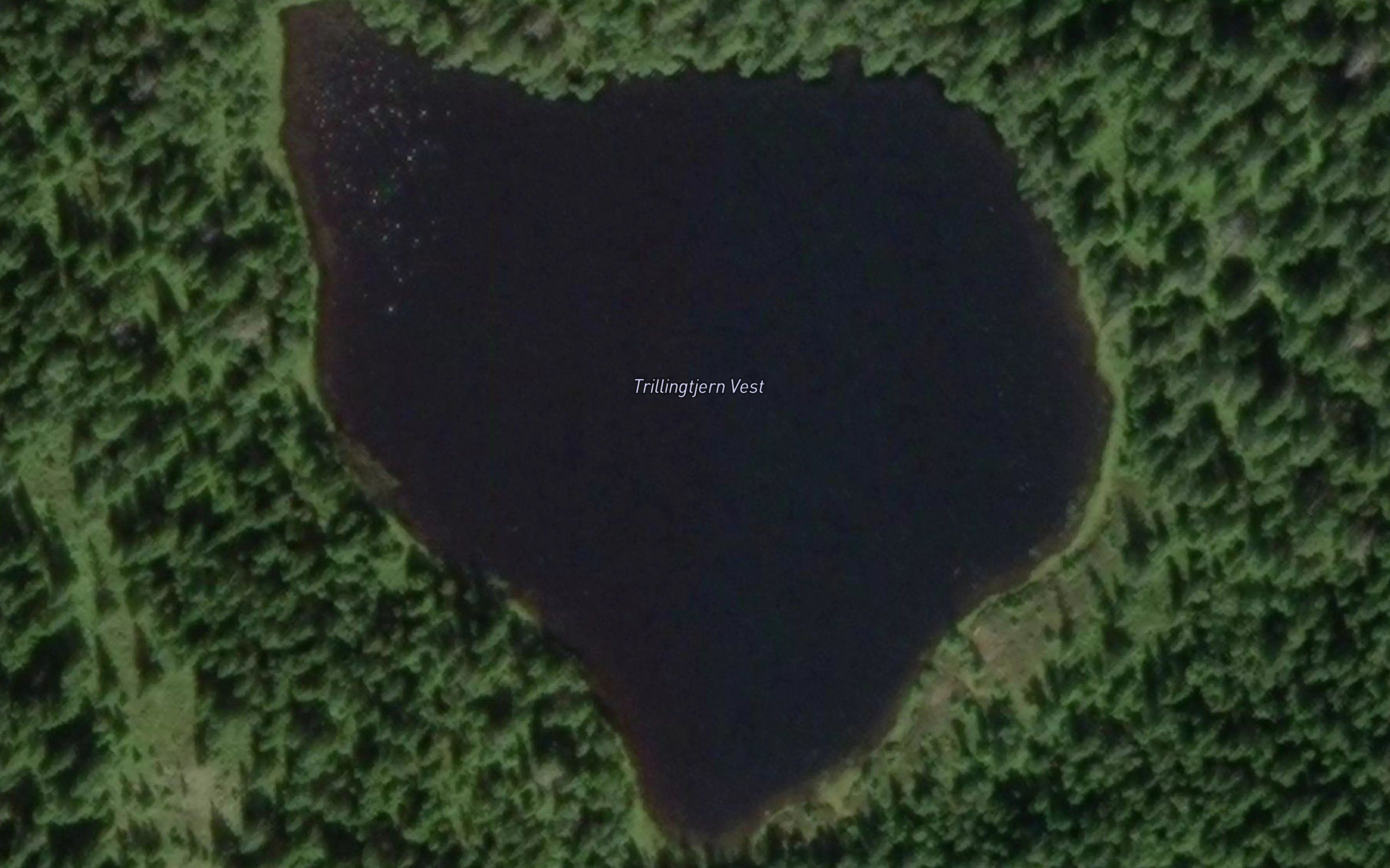 Trillingtjerna