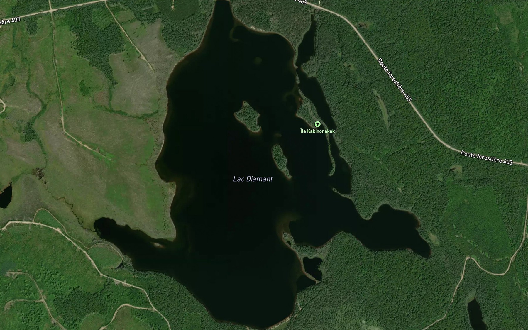 Satellite map of the Lac Diamant