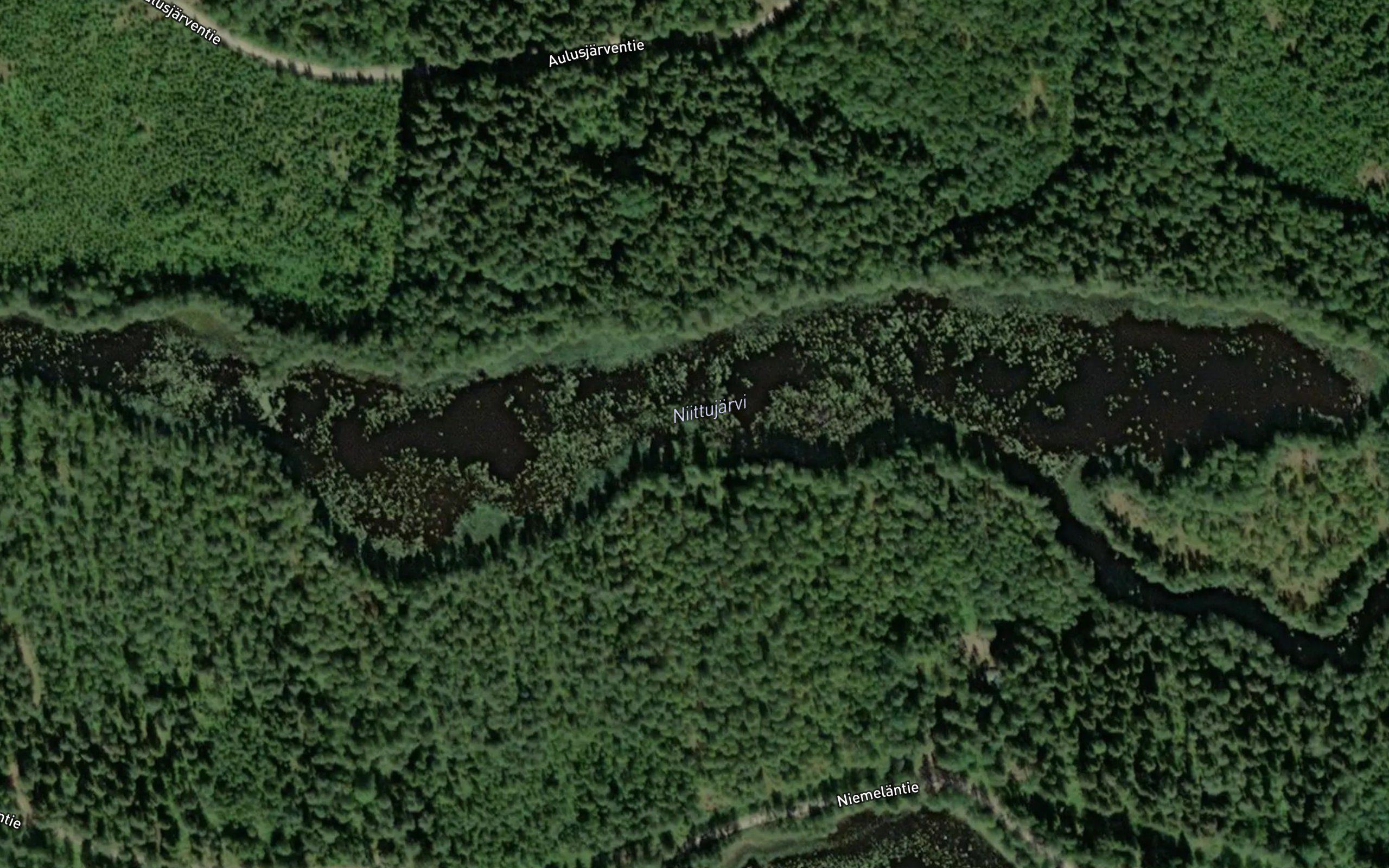 Niittujarvi