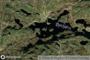 Oyetjorn