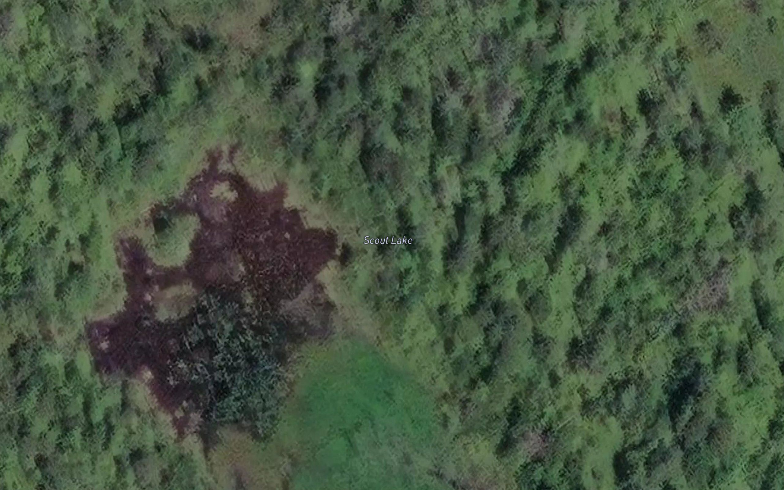 Scout Lake