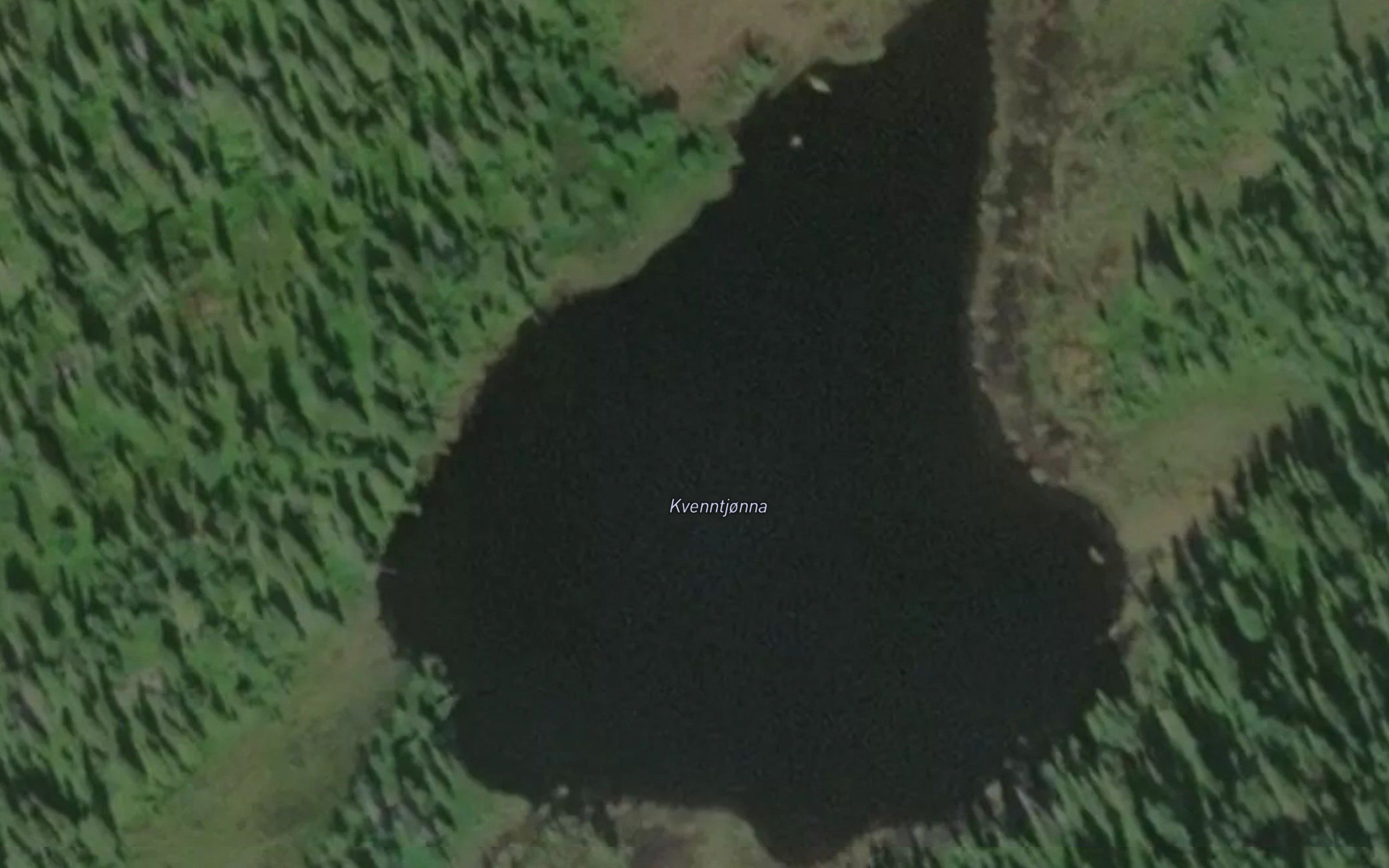 Kverntjorna