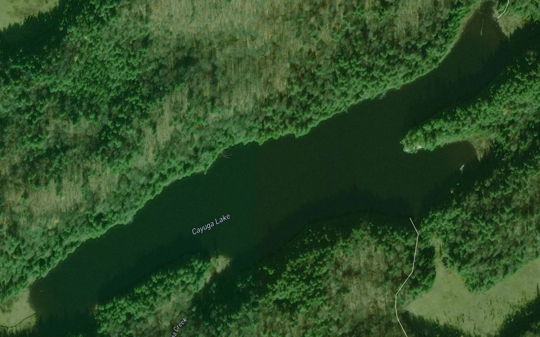 Satellite map of the Cayuga Lake