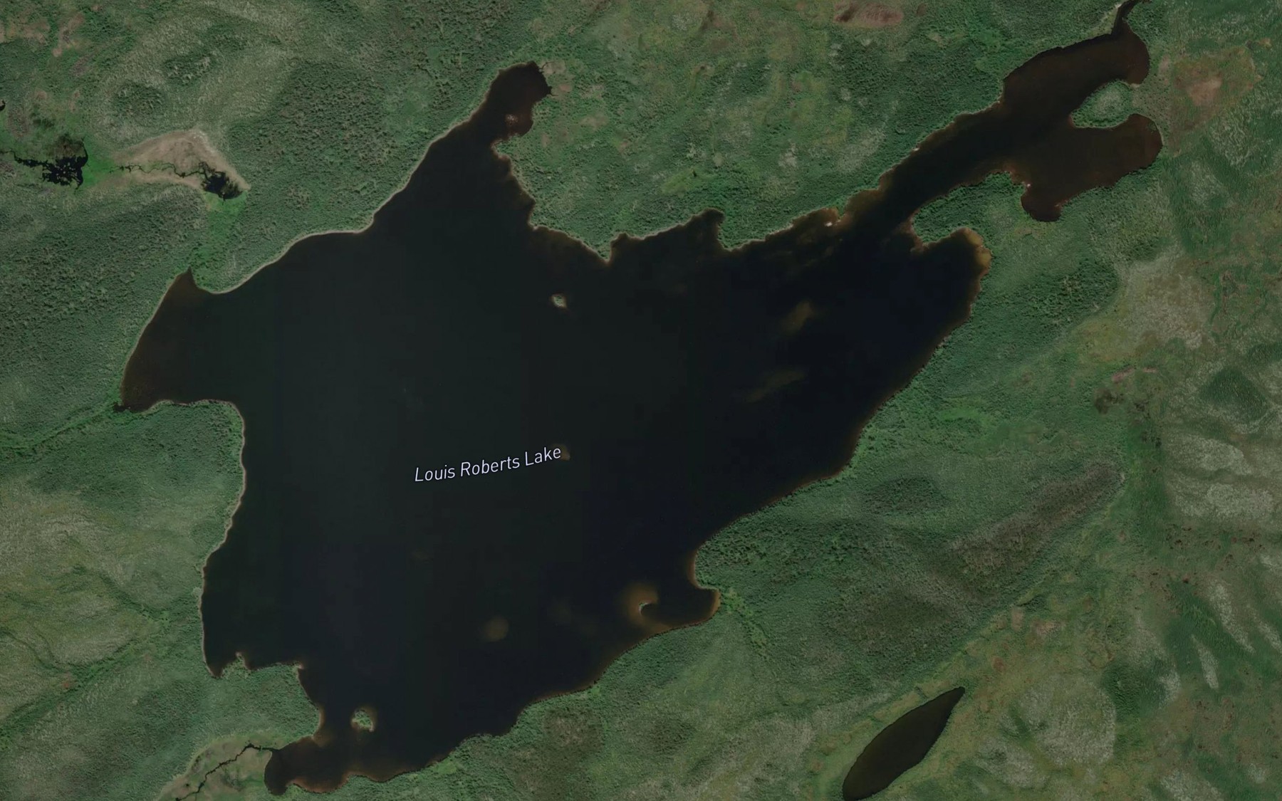 Satellite map of the Louis Roberts Lake