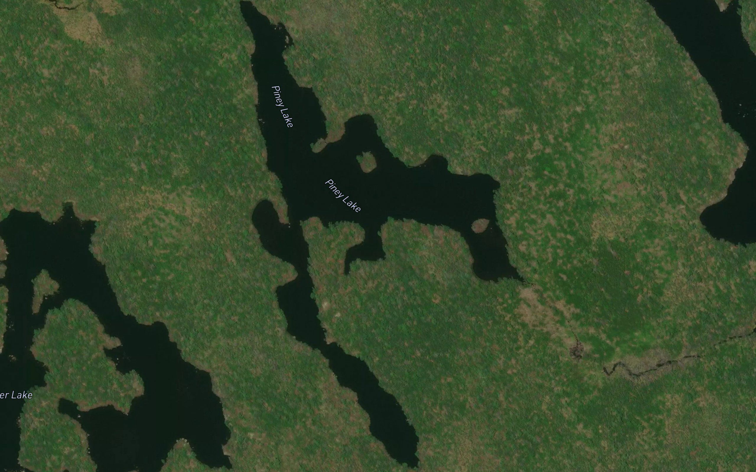 Piney Lake