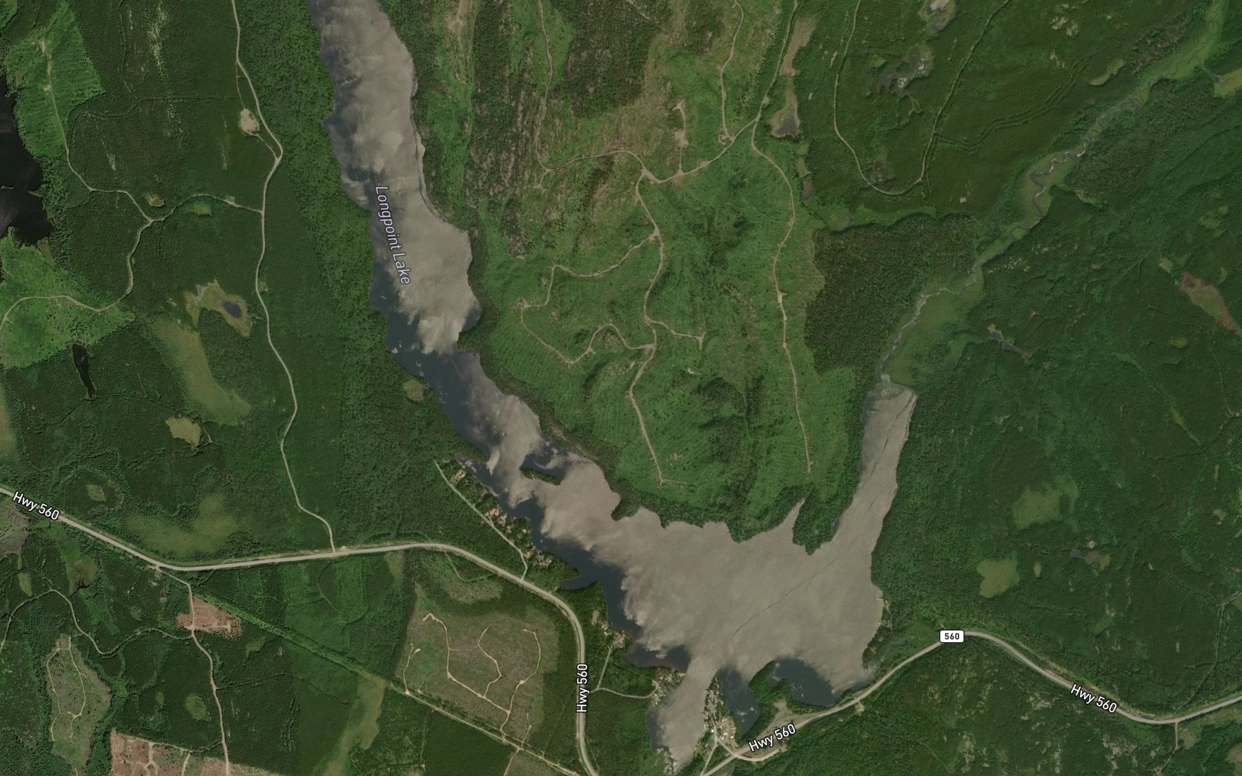 Satellite map of the Longpoint Lake