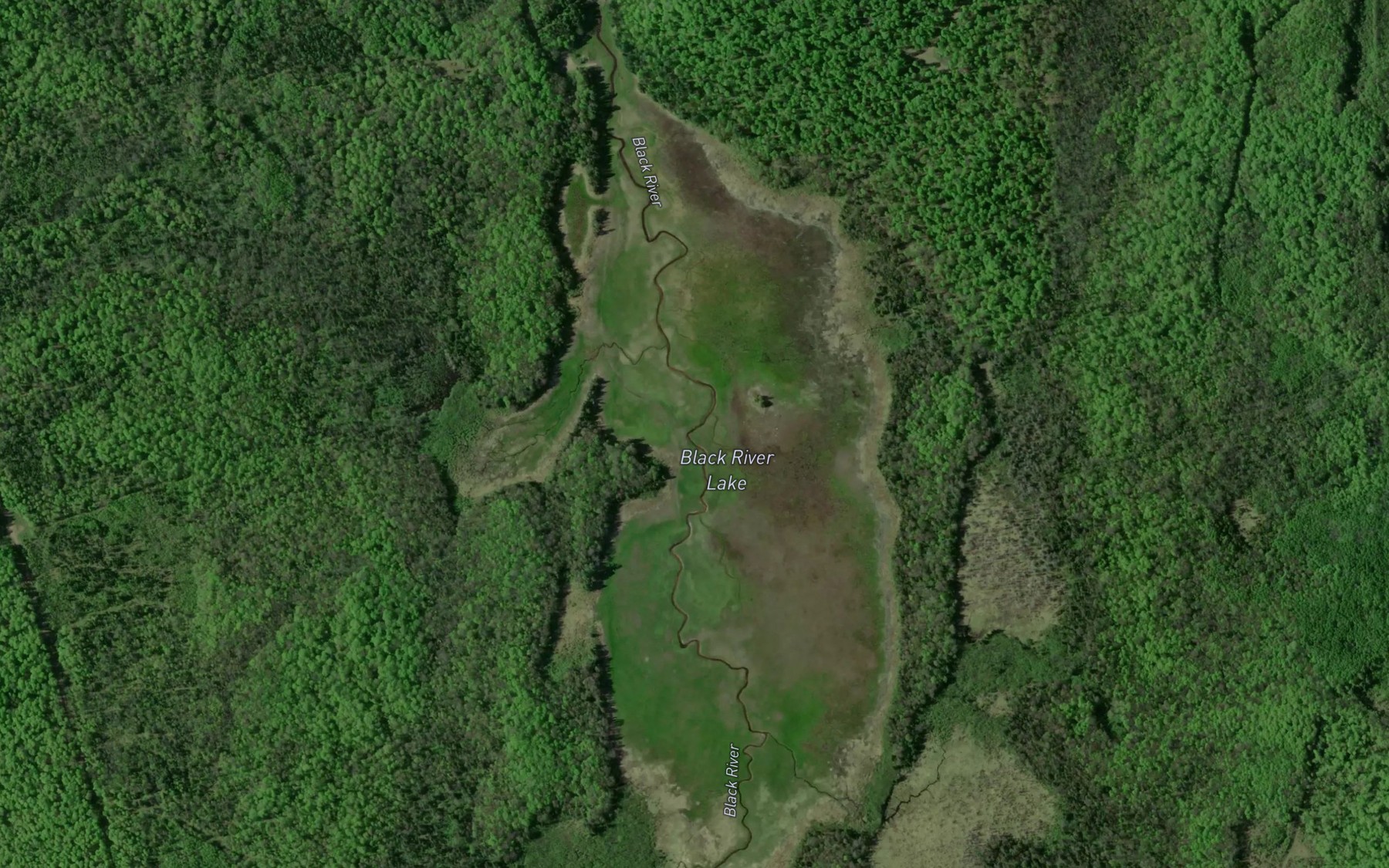 Satellite map of the Black River Lake