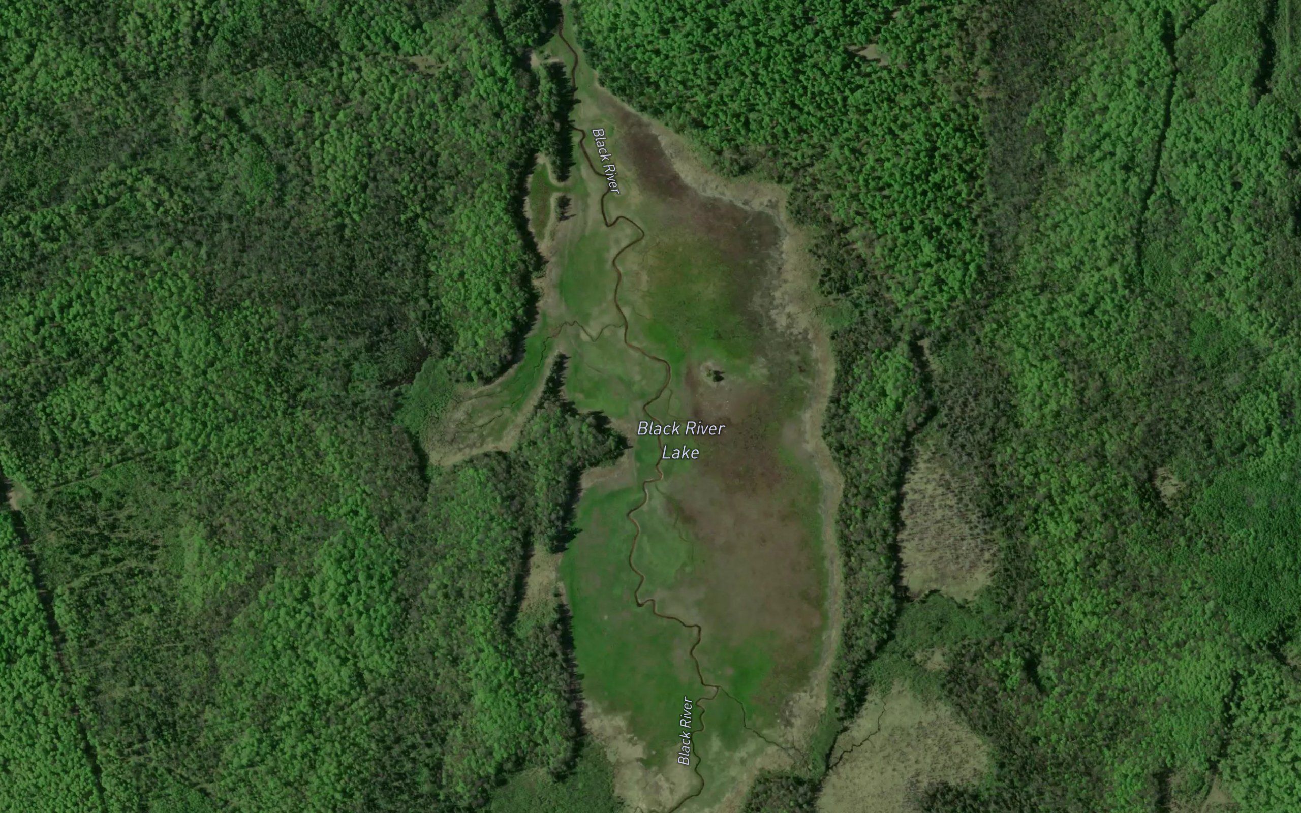 Black River Lake