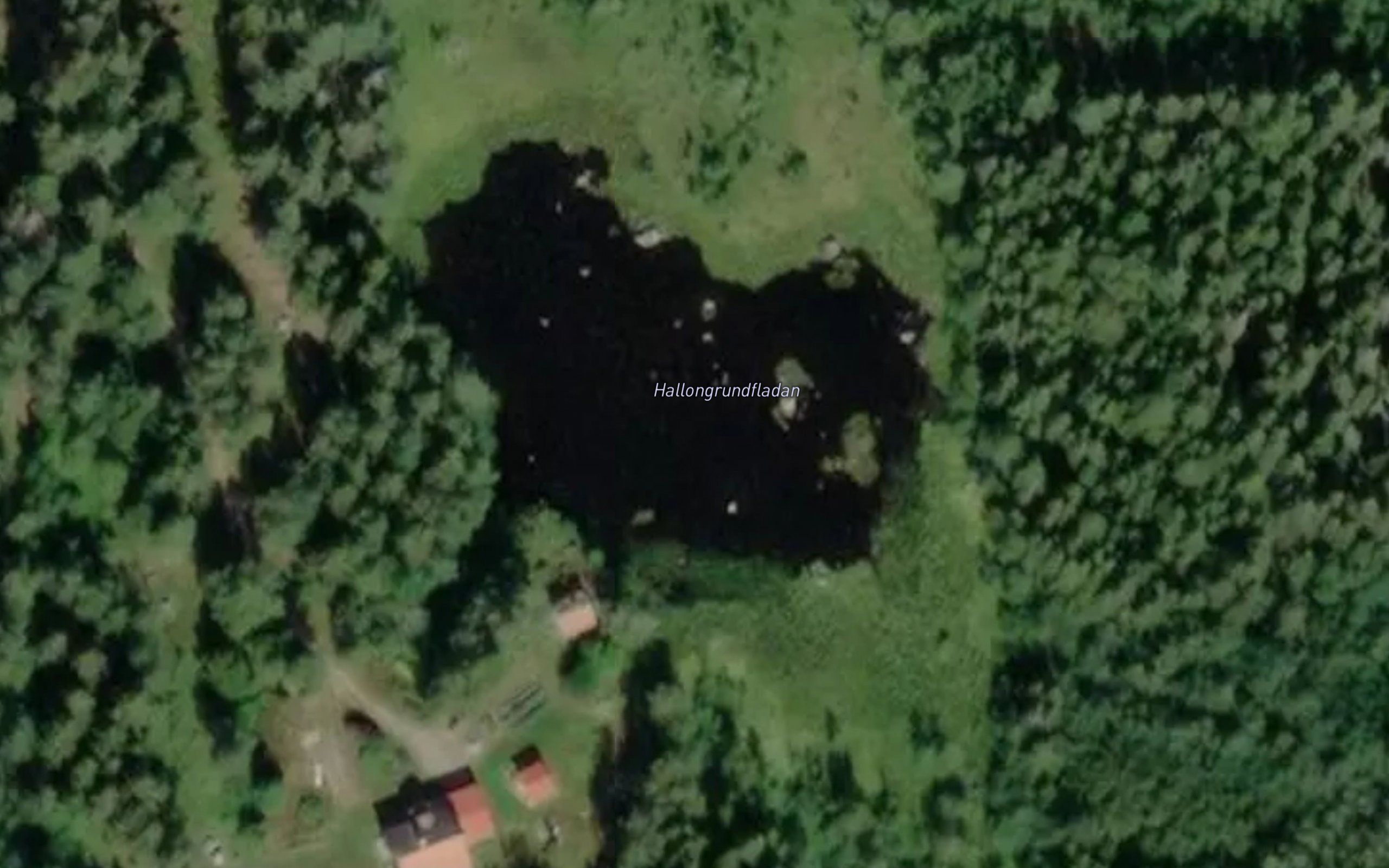 Hallongrundfladan
