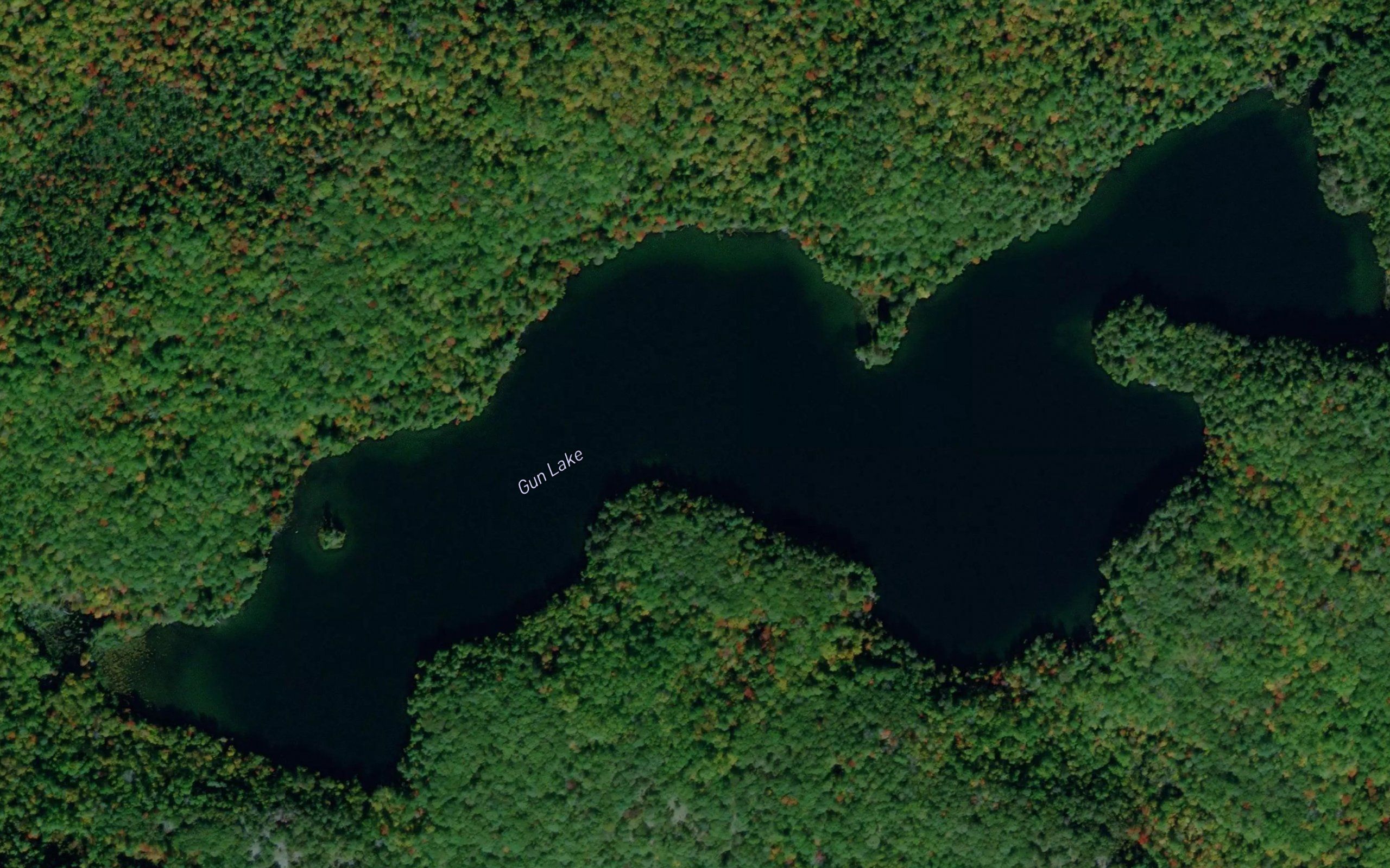 Gun Lake