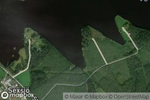 Morkviken