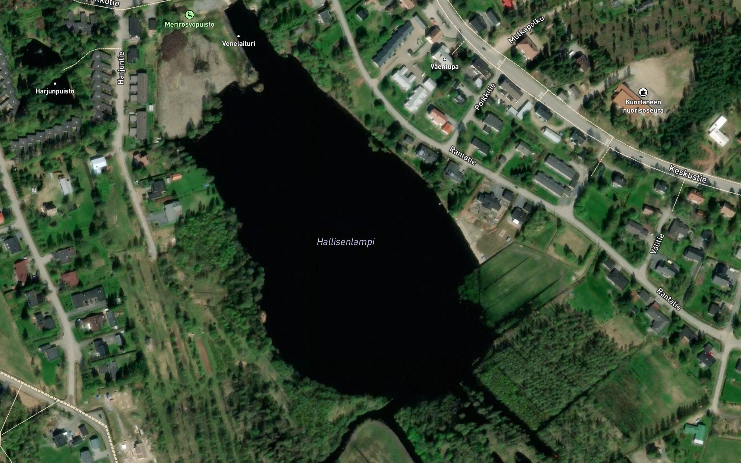 Hallisenlampi