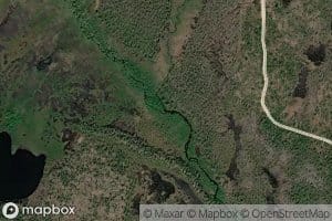 Leppajoki